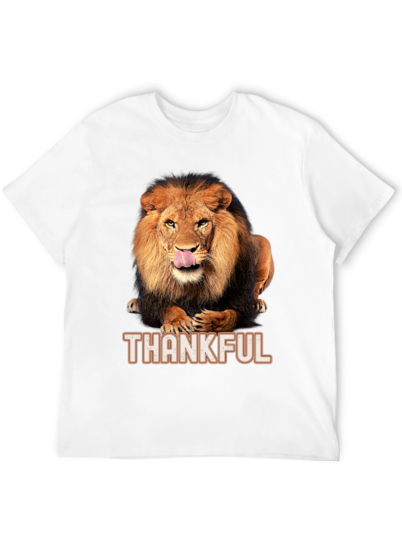 Black Thankful Lion Graphic T-Shirt - Men's Black Tee view 12