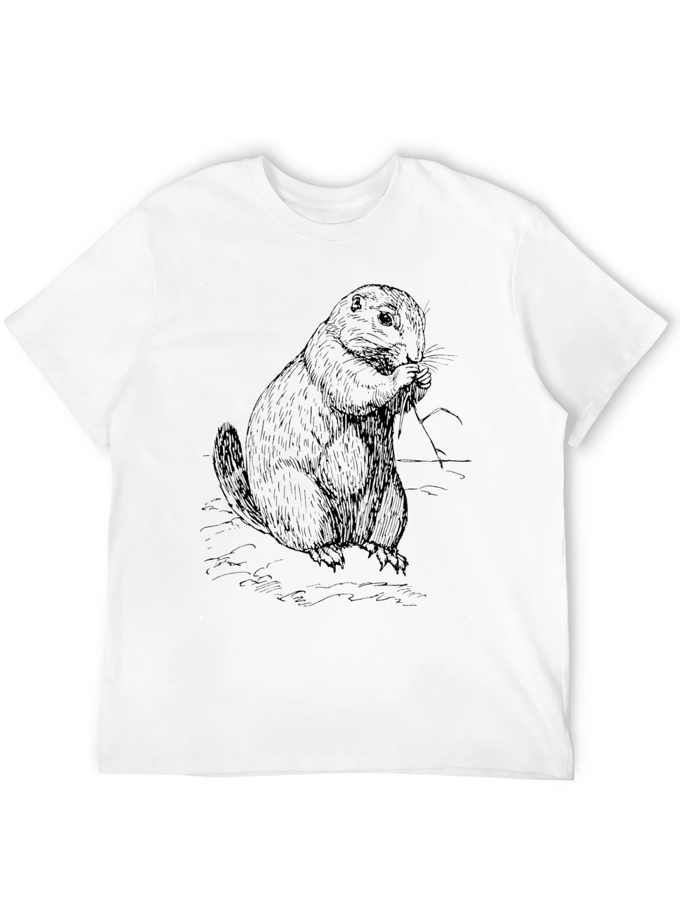 Black Groundhog Graphic Tee - Black Cotton Blend view 12