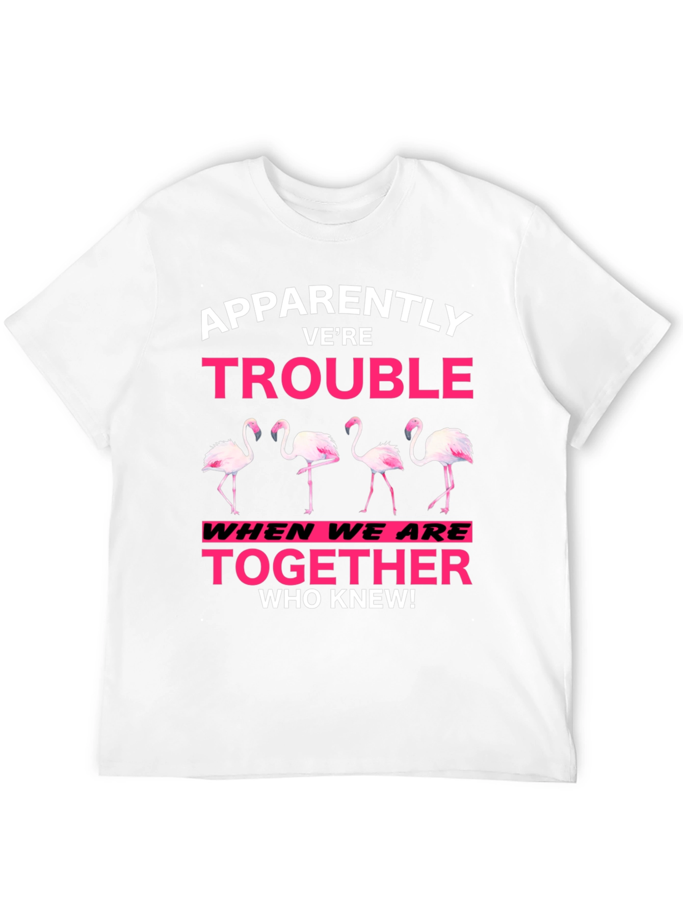 Black Funny Flamingo Trouble Graphic T-Shirt view 12