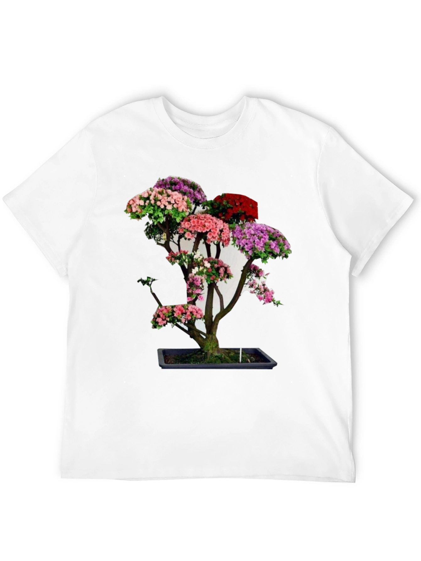 Black Bonsai Tree Graphic Tee - Unique Floral Design view 12