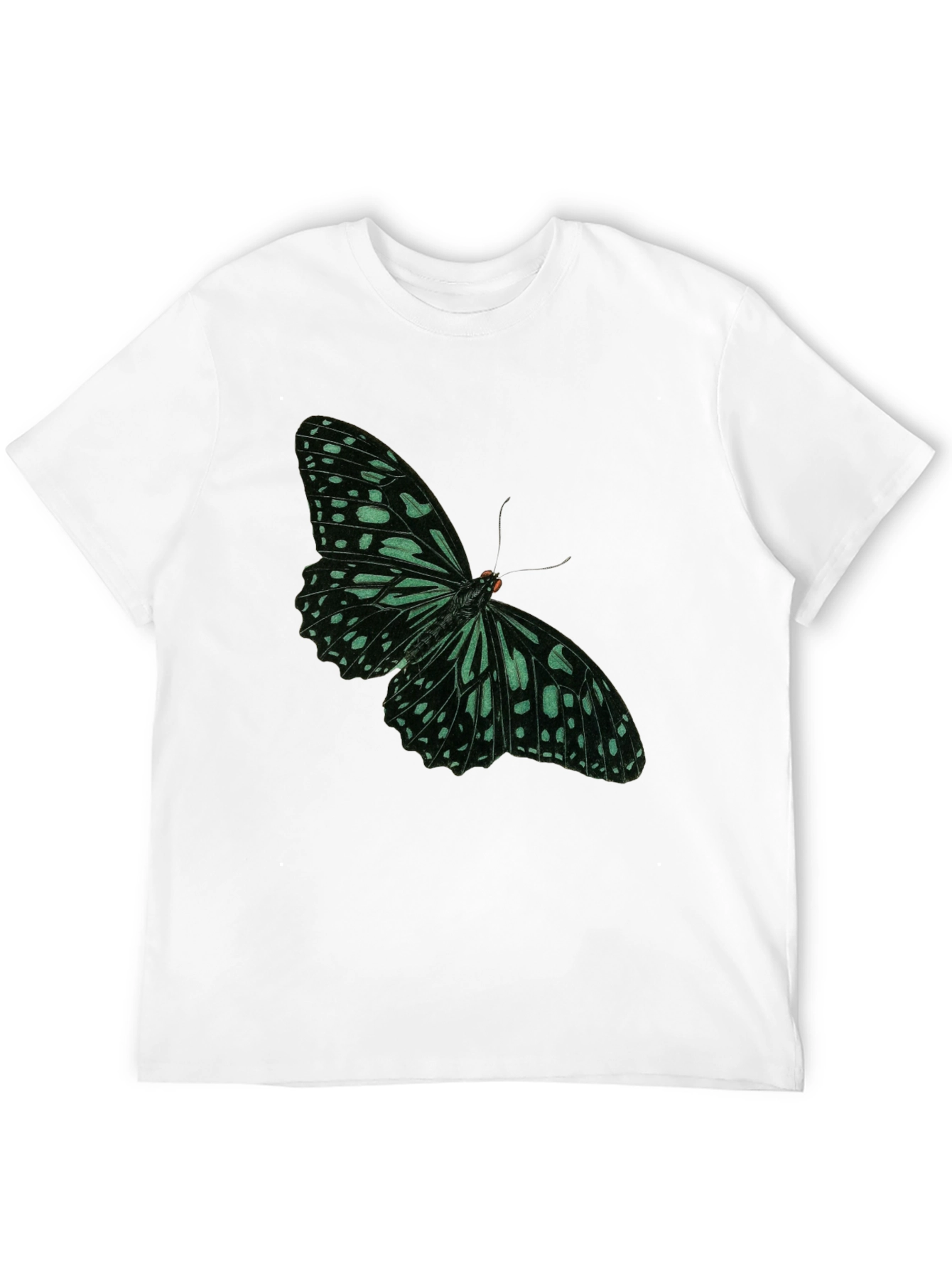 Black Butterfly Graphic Tee - Black Cotton Blend view 12