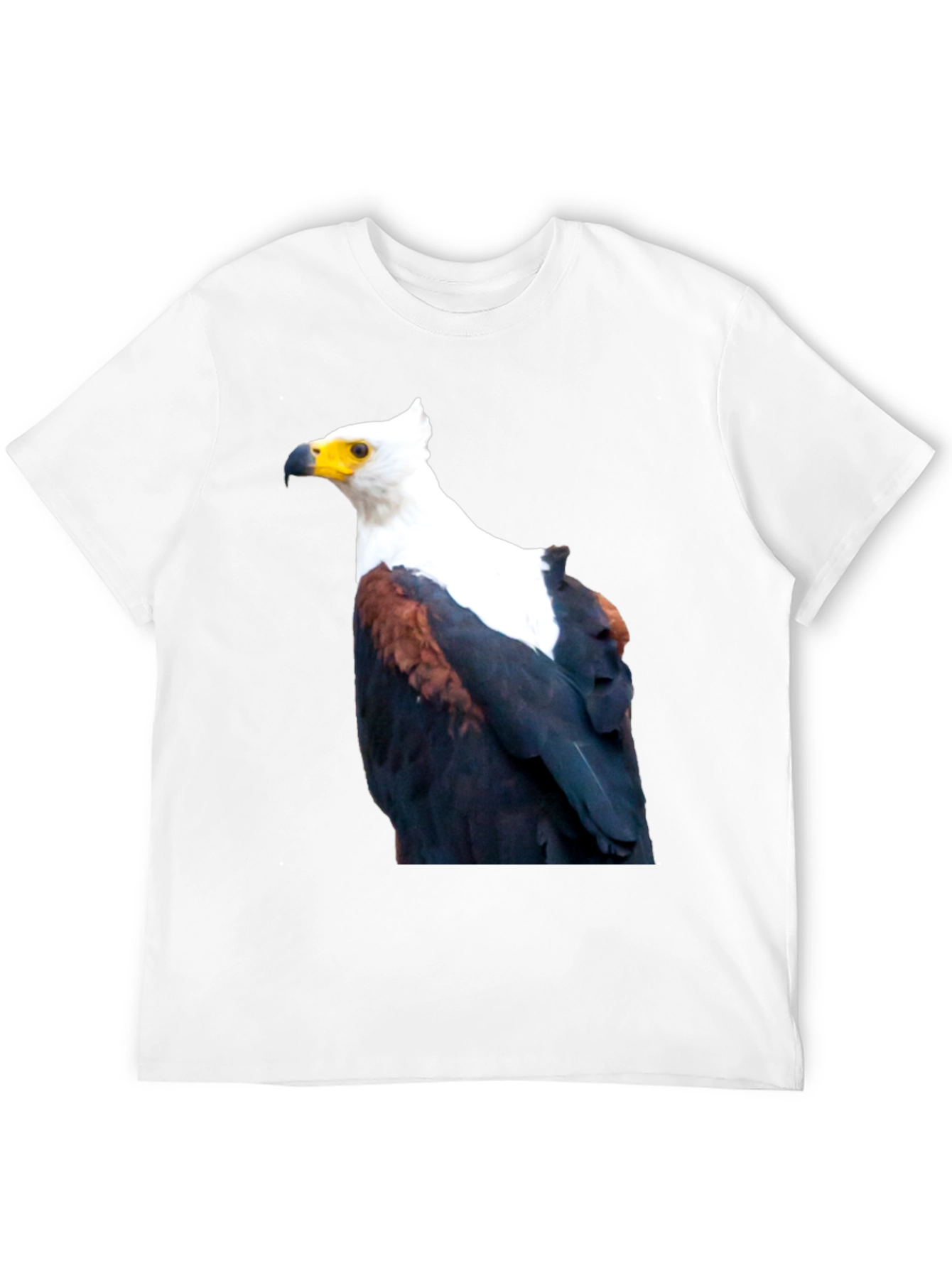Black Eagle Graphic Tee - Cool Bird Print view 12