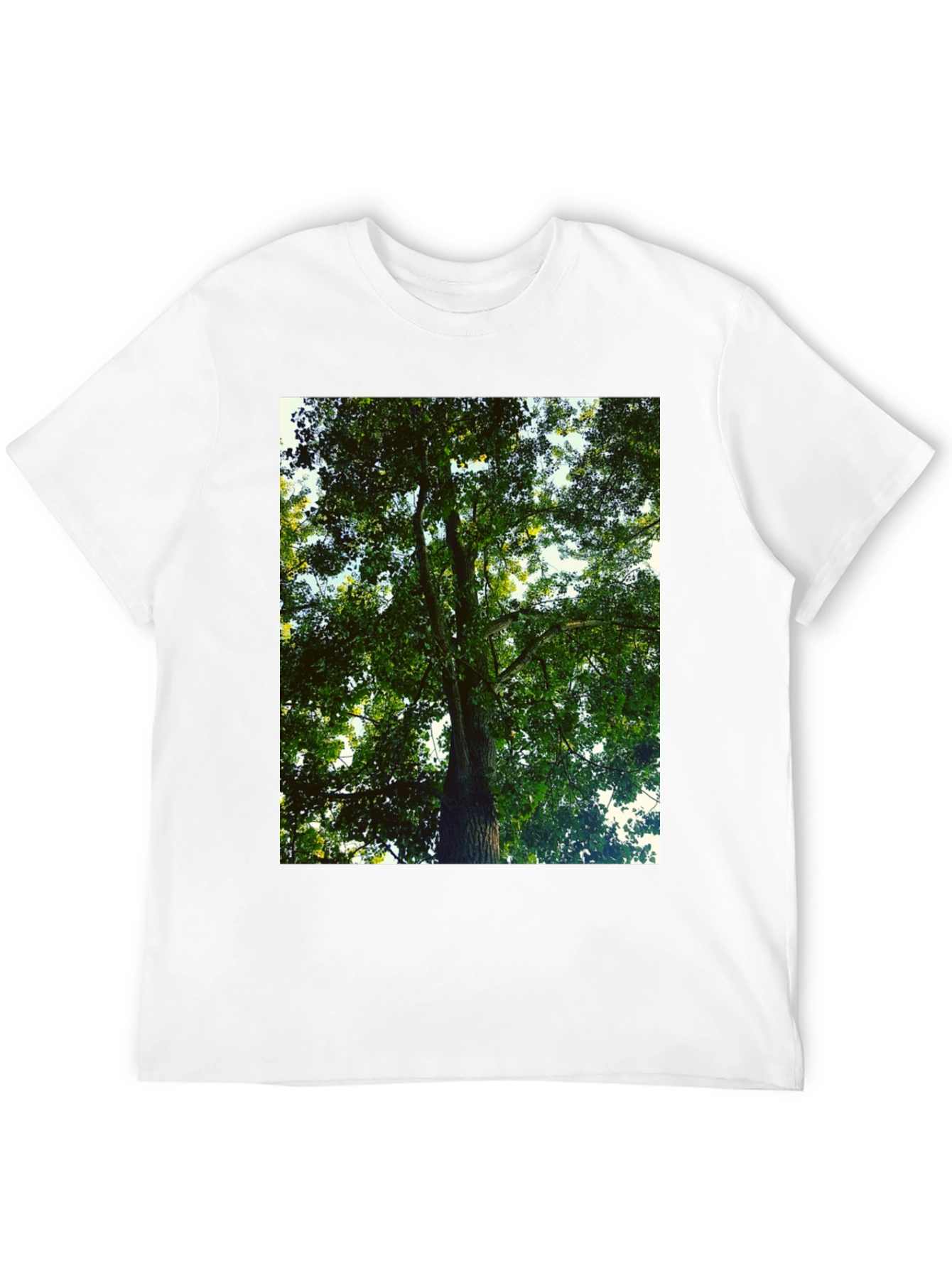 Black Nature Tree Graphic Tee - Black Cotton T-Shirt view 12