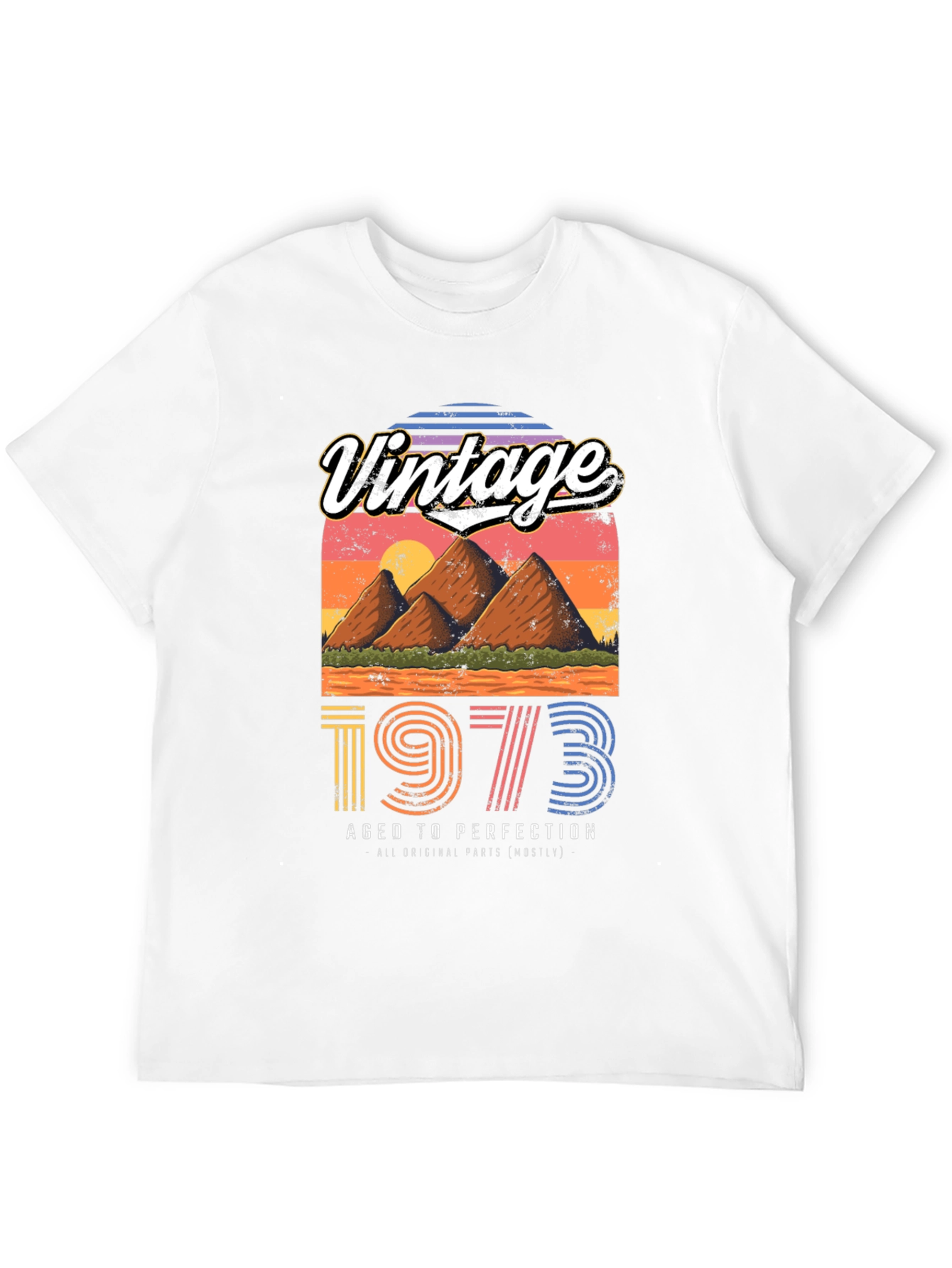 Black Vintage 1973 Aged to Perfection Graphic Tee view 12