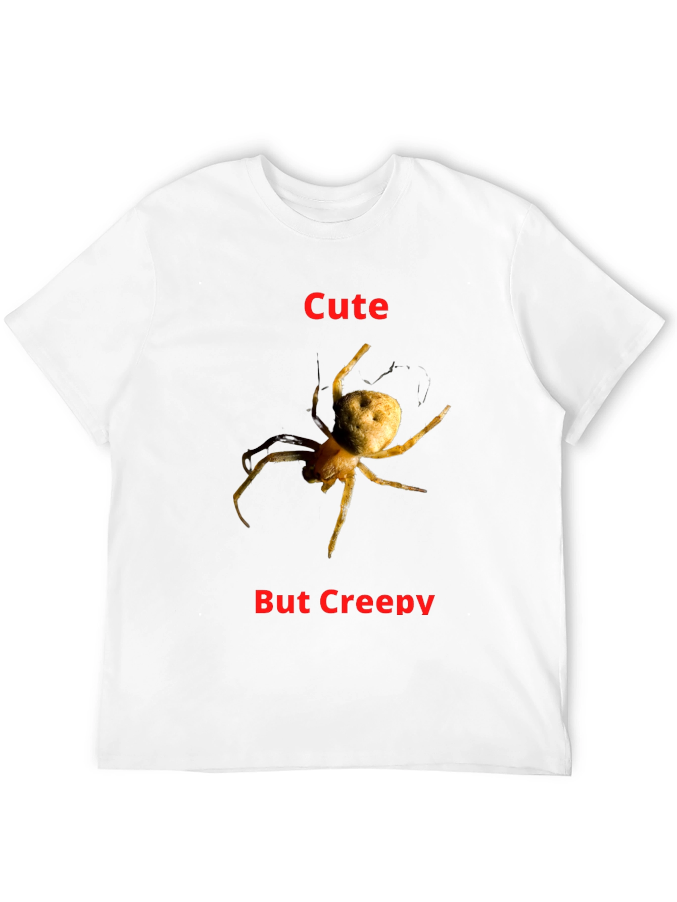 Black Cute But Creepy Spider Graphic T-Shirt view 12