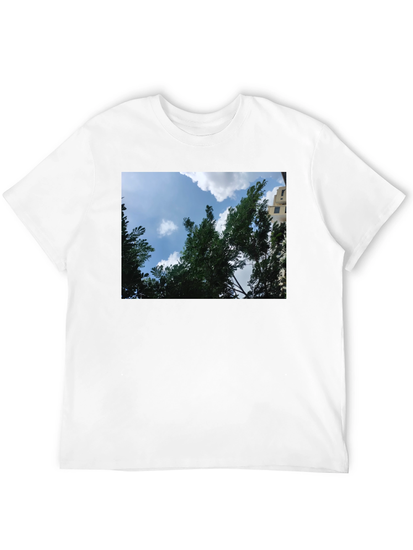 Black Sky Through Trees Graphic Tee - Nature Lover's Shirt view 12