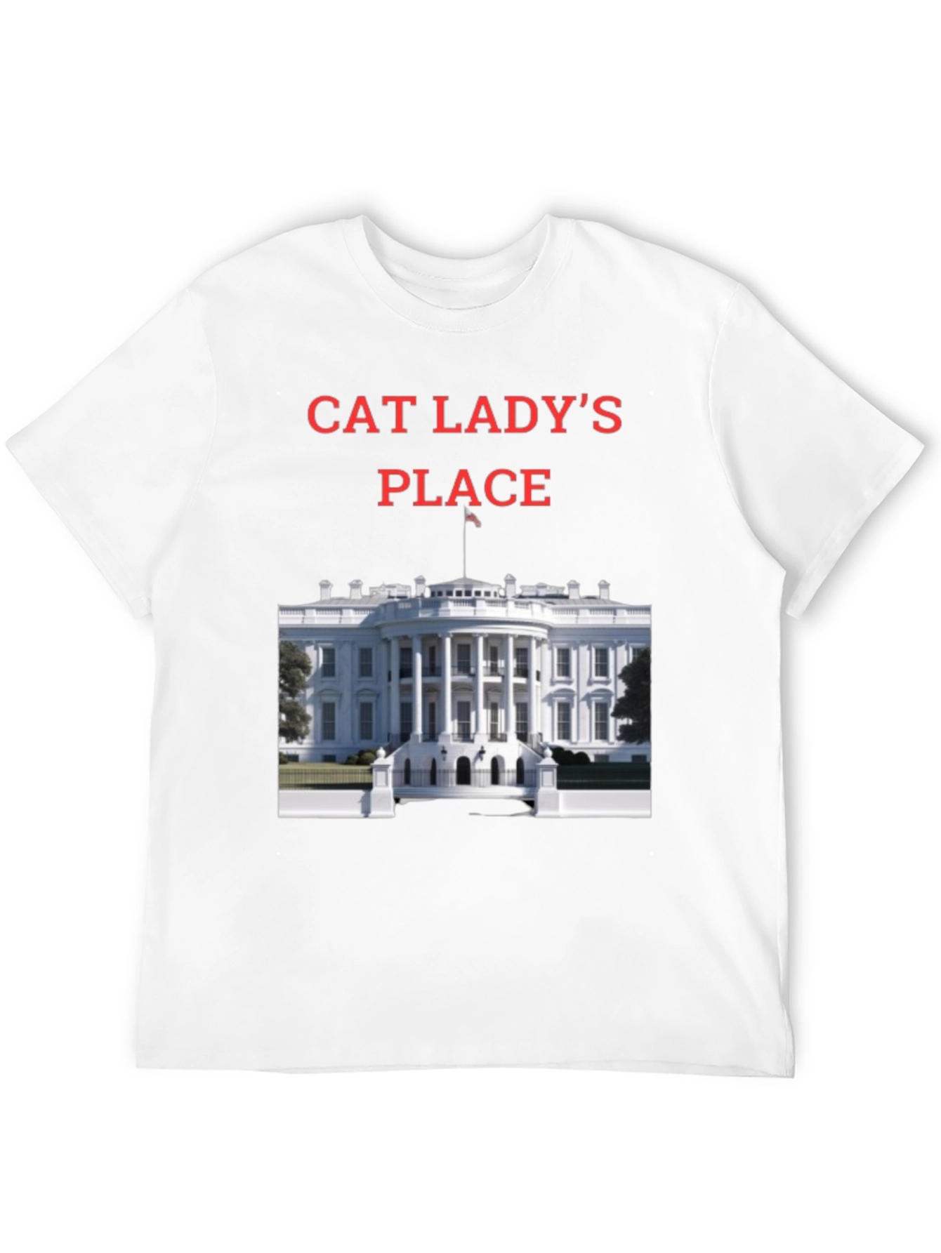 Black Cat Lady's Place T-Shirt - Novelty Tee view 12