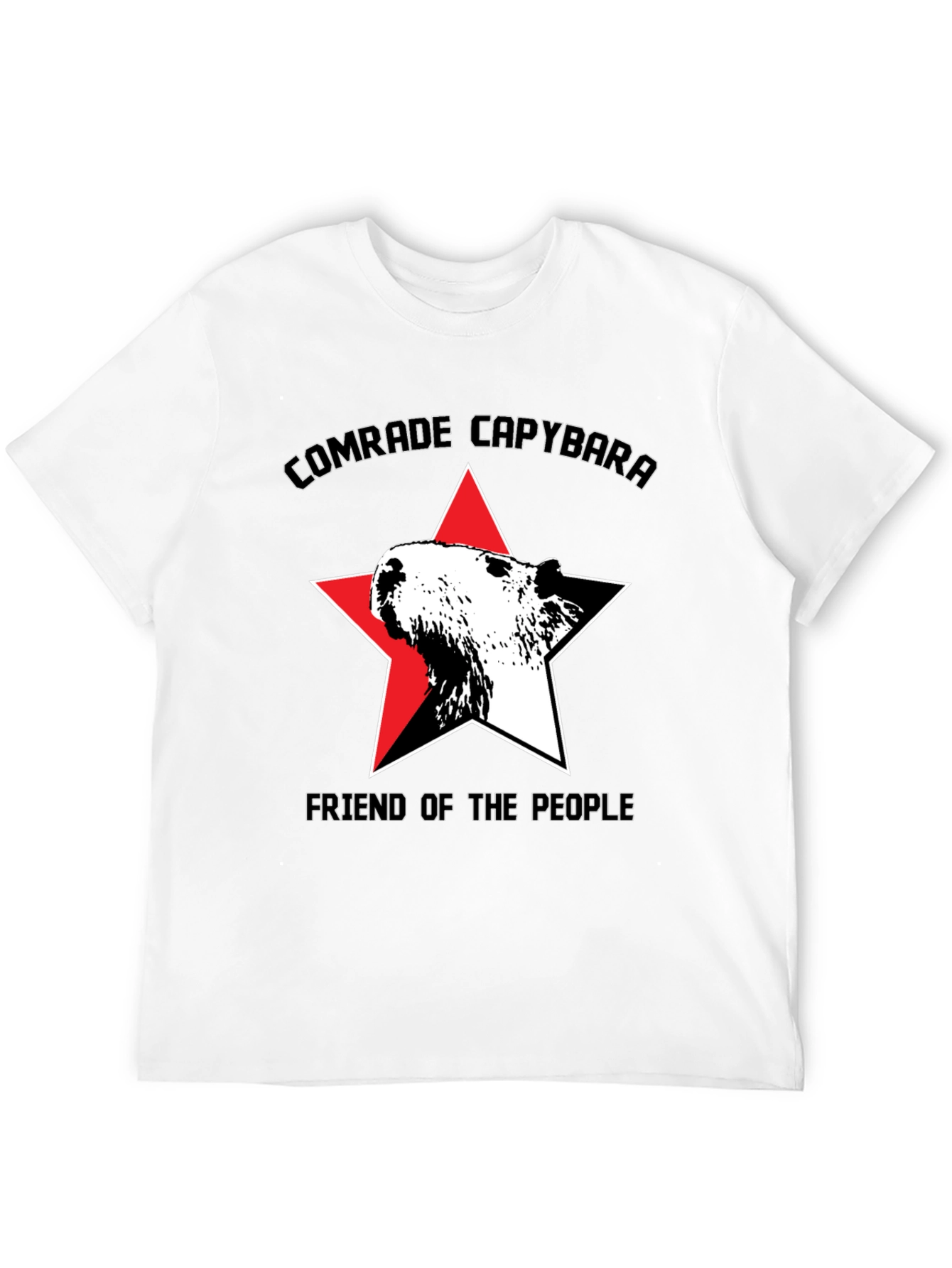 Black Comrade Capybara T-Shirt - Friend of the People view 12