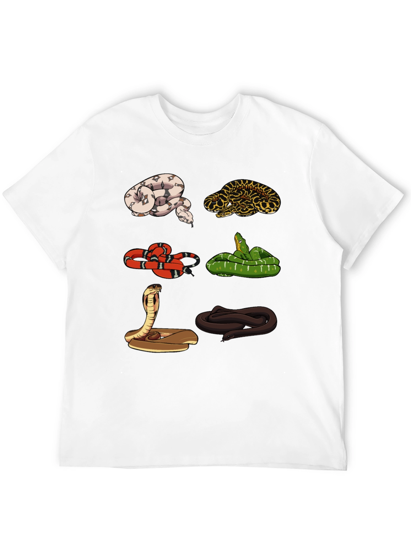 Black Snake Variety Graphic Tee - Reptile Lover Shirt view 12