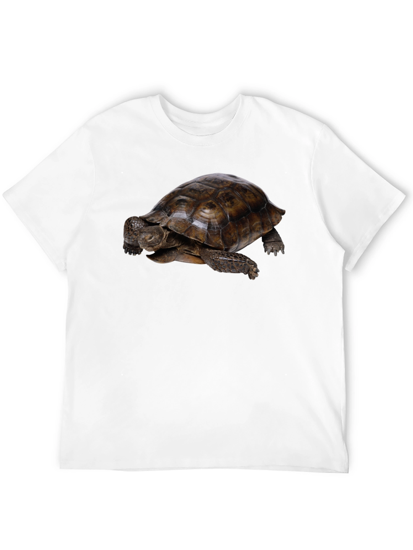 Black Tortoise Graphic Black T-Shirt view 12