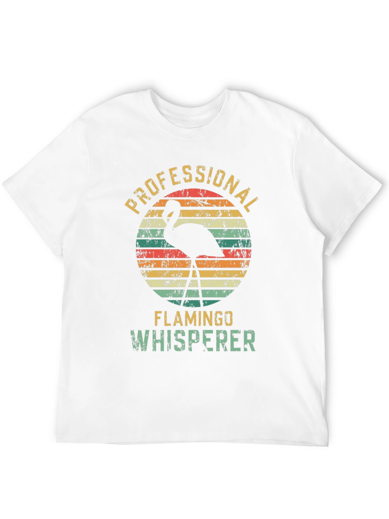 Black Professional Flamingo Whisperer Graphic T-Shirt view 12