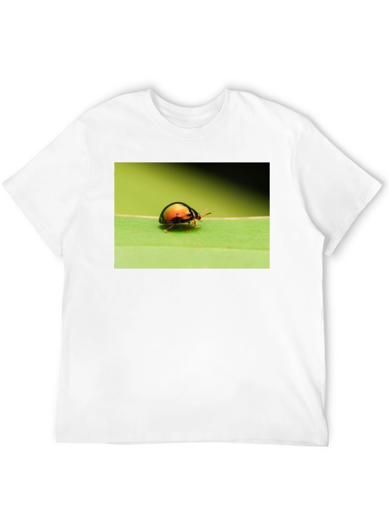 Black Bug on Leaf Graphic Tee - Black Unisex T-Shirt view 12