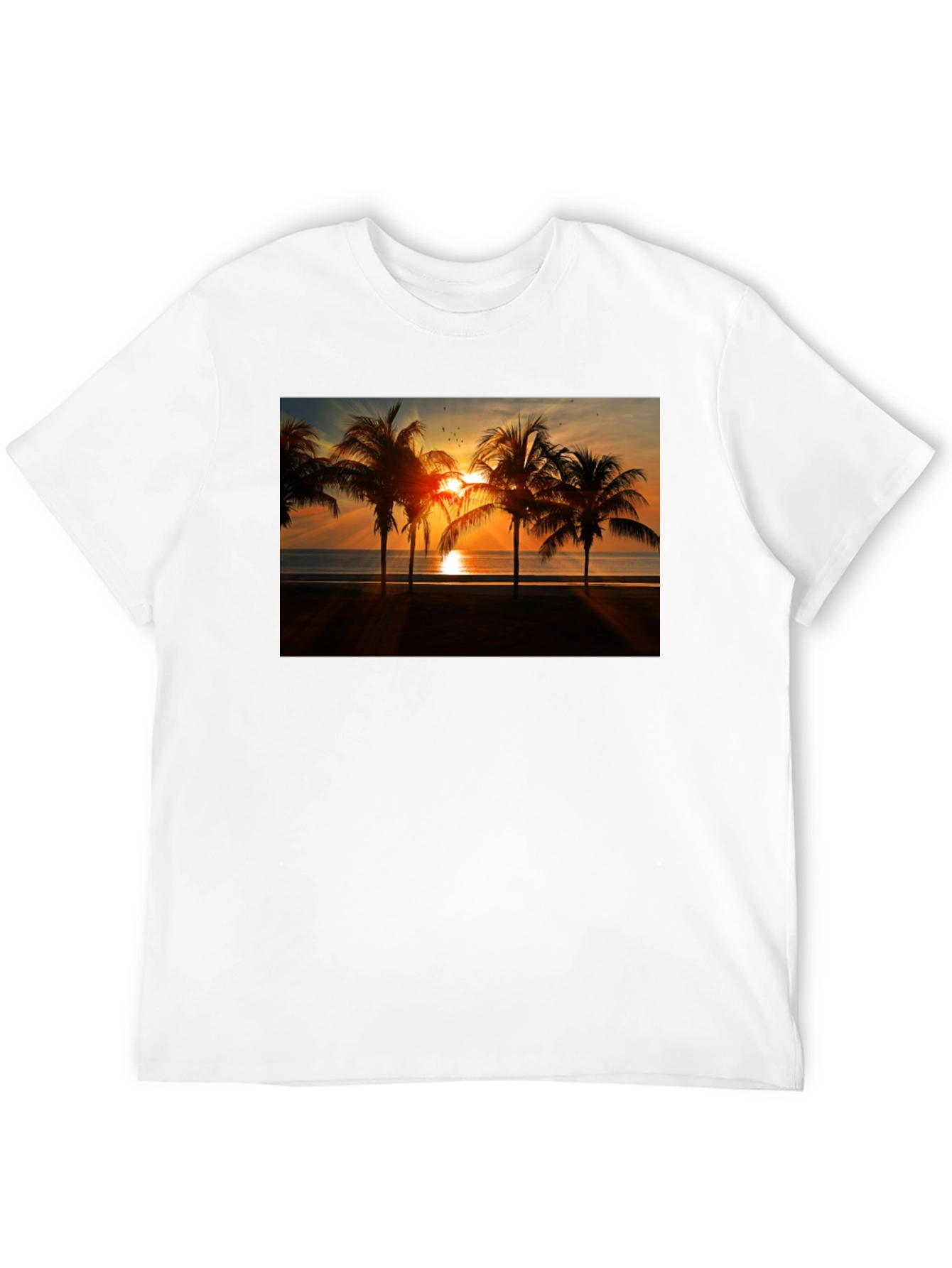Black Sunset Palm Tree Graphic Tee view 12