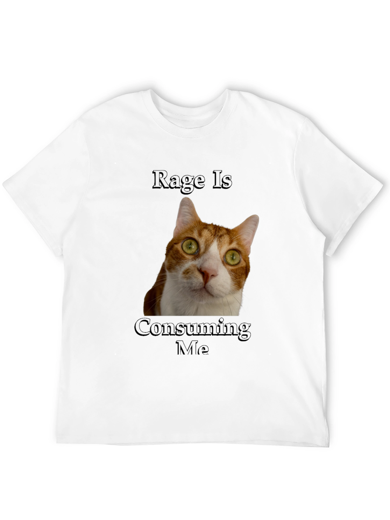 Black Rage Is Consuming Me Cat T-Shirt - Funny Graphic Tee view 12