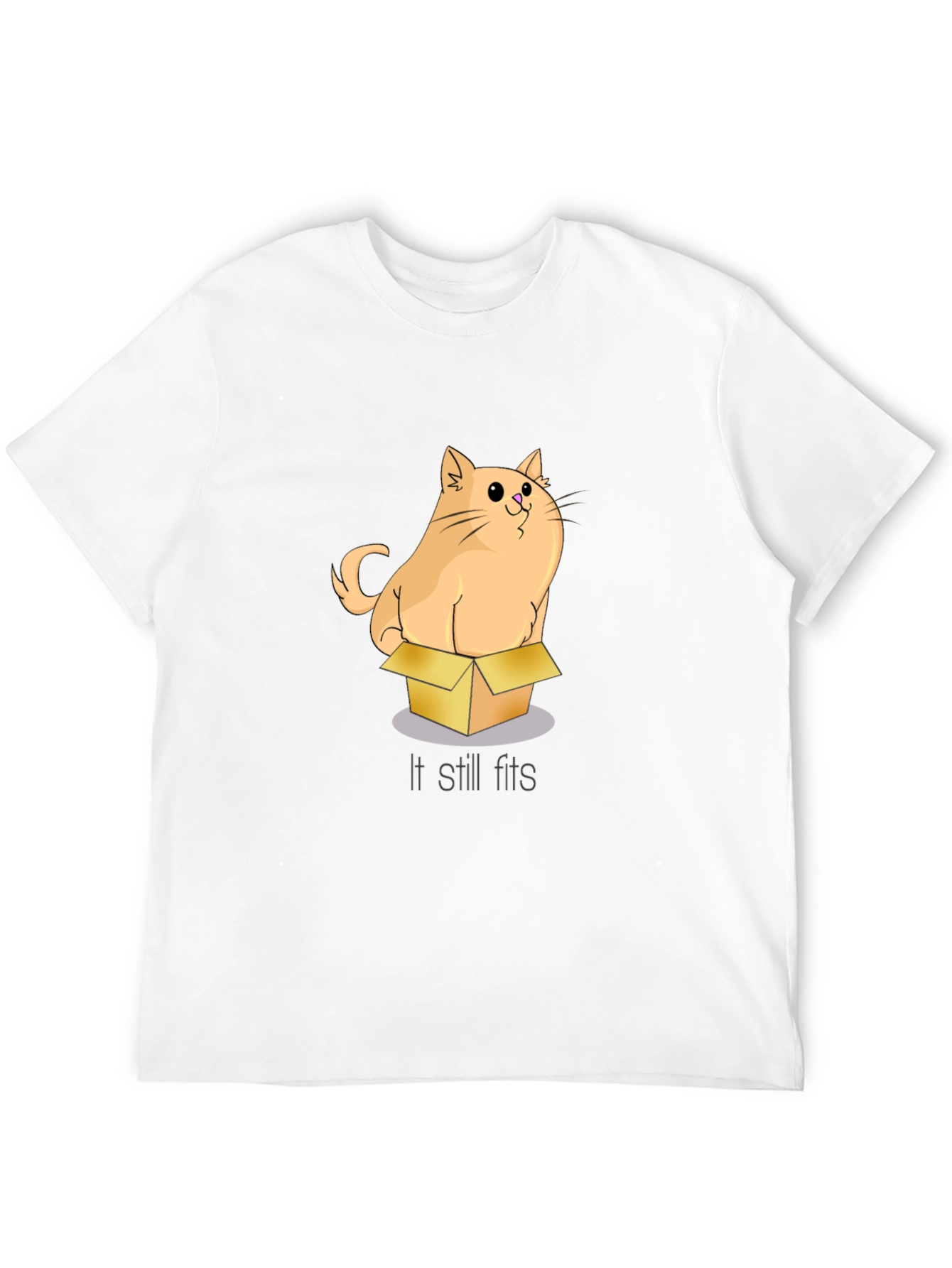 Black Cat in a Box T-Shirt: If It Fits, I Sits view 12