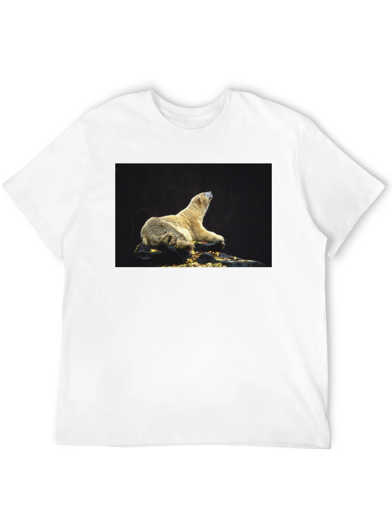 Black Polar Bear Graphic Black T-Shirt view 12