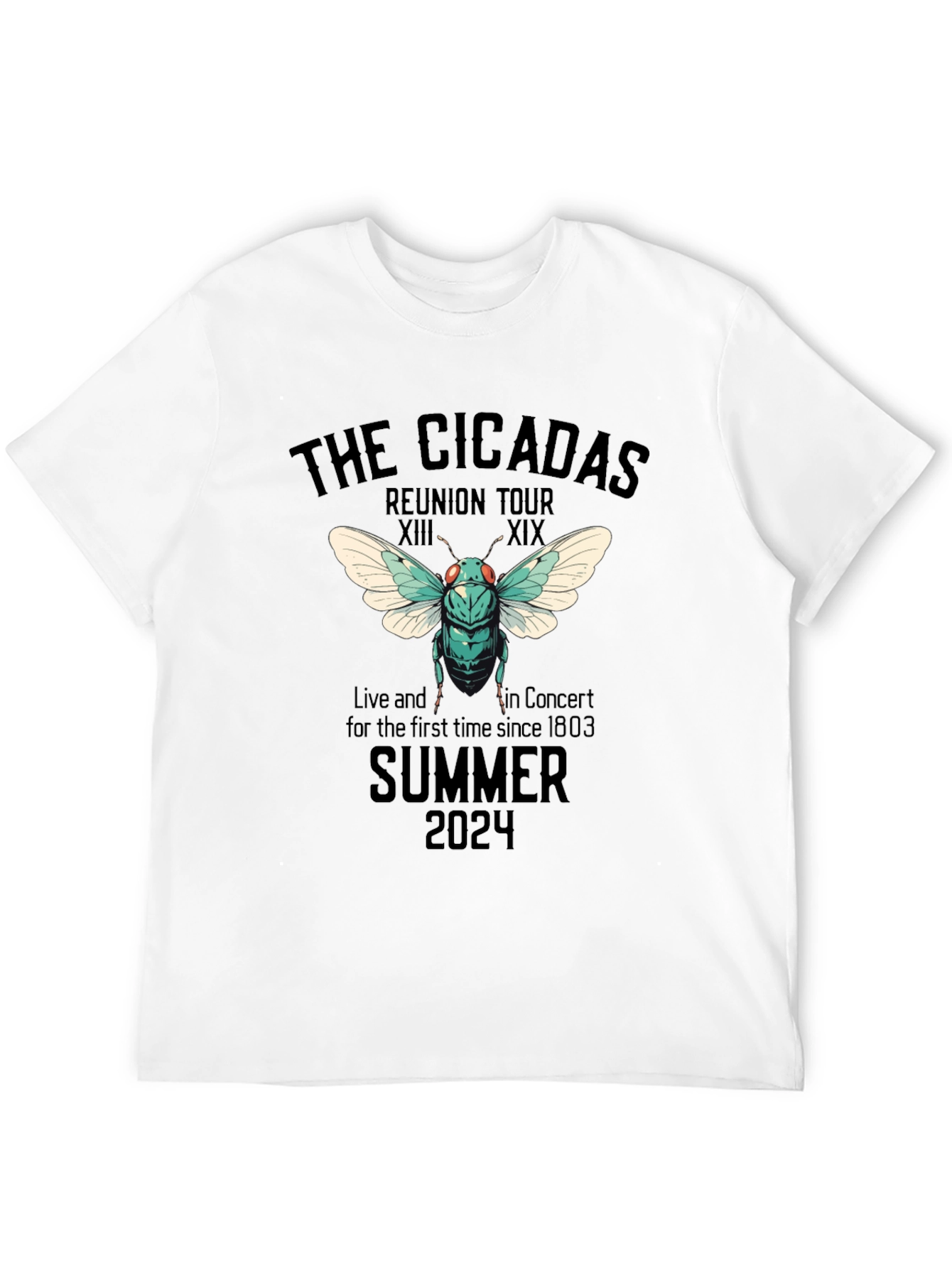 The Cicadas Reunion Tour 2024 T-Shirt - 12