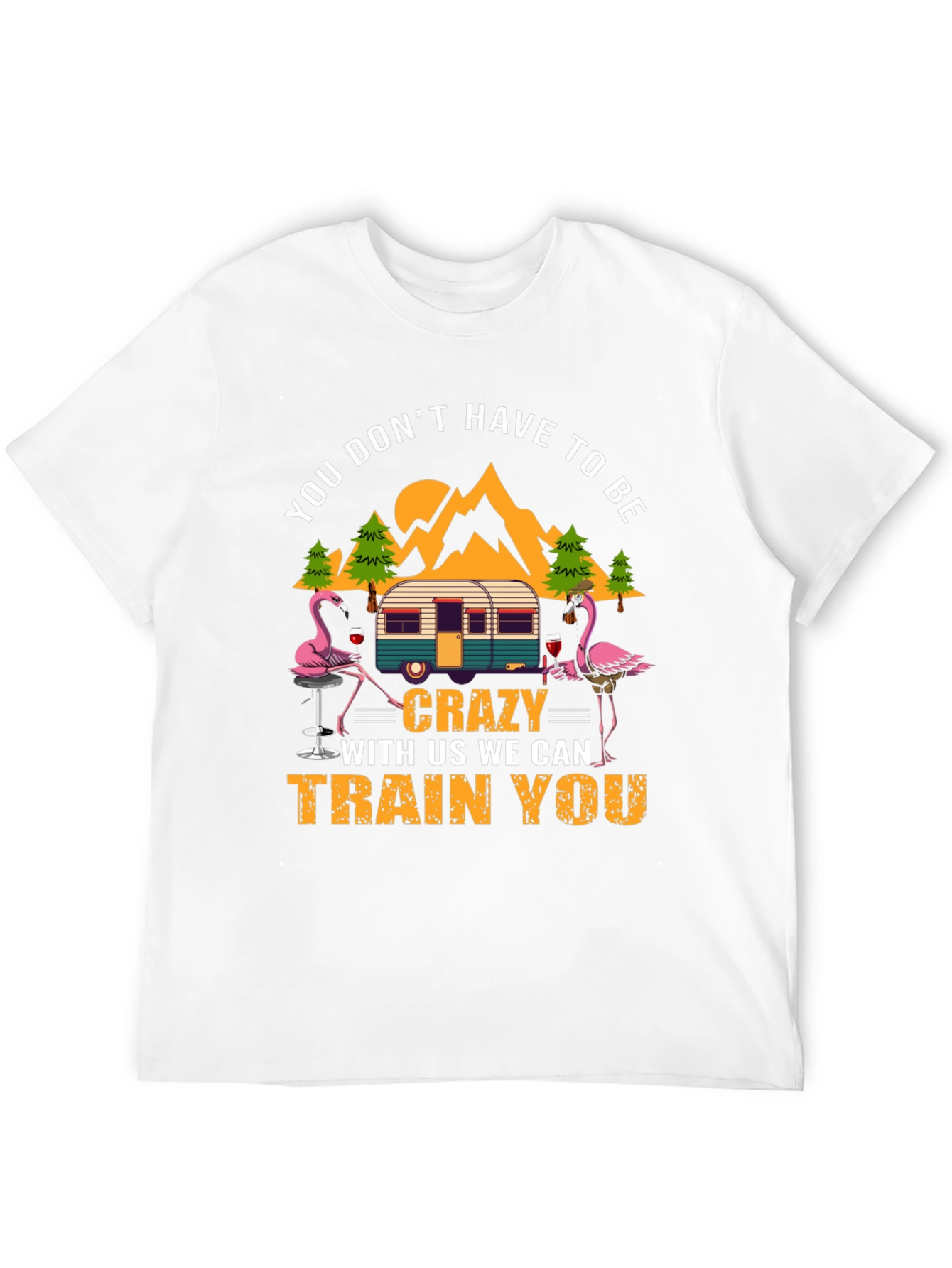 Black Flamingo Camper T-Shirt: You Don't Have to Be Crazy! view 12