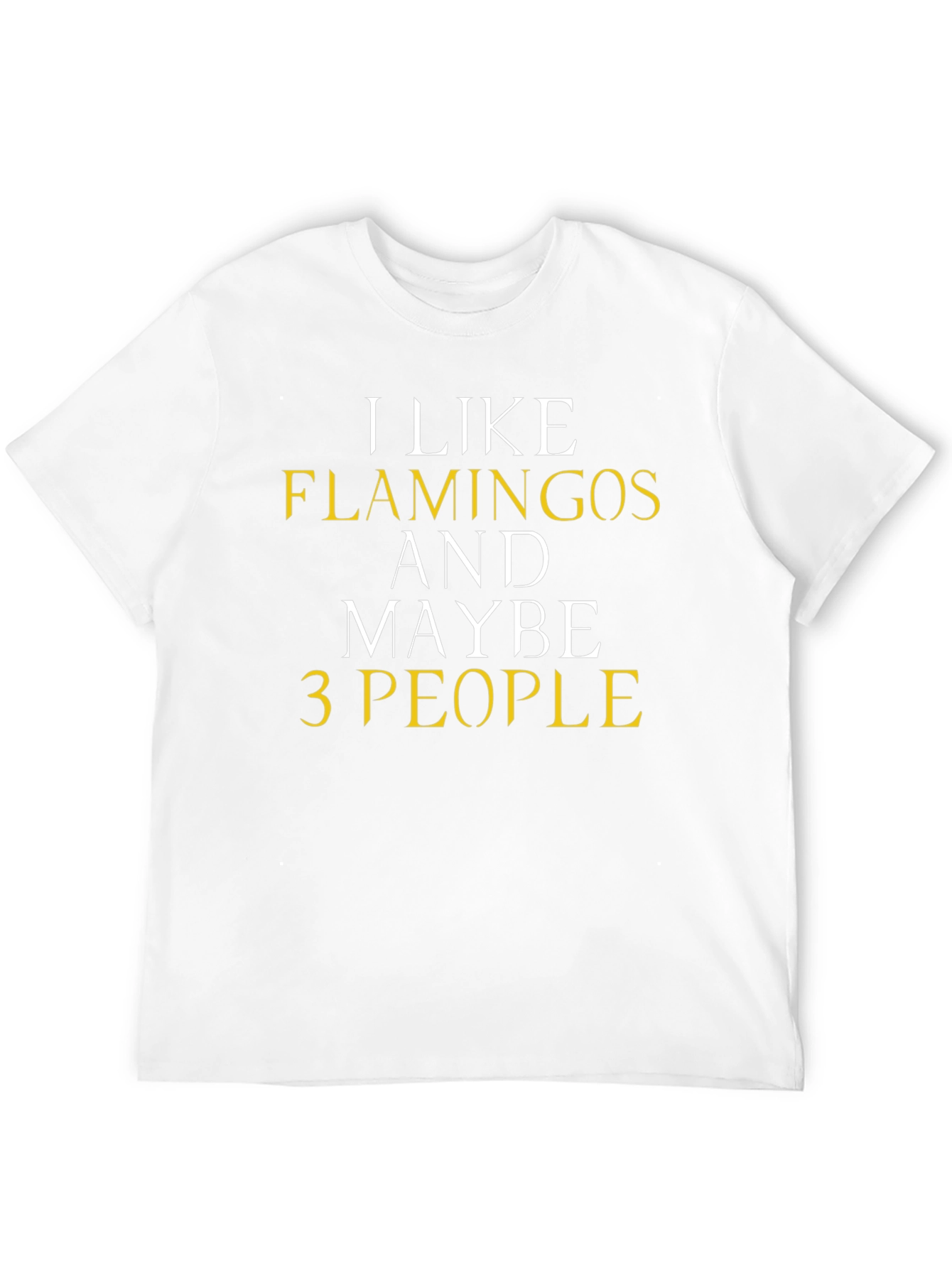 Black Funny Flamingo T-Shirt - I Like Flamingos & Maybe 3 People view 12
