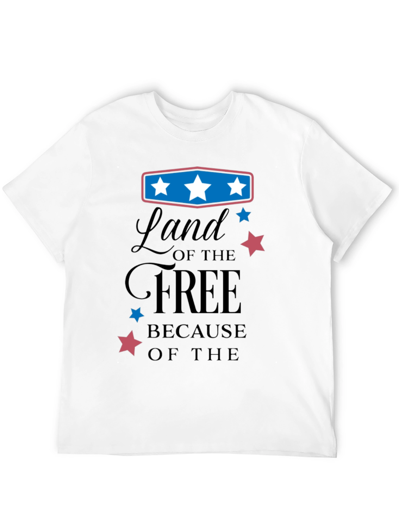 Black Land of the Free Graphic Tee view 12