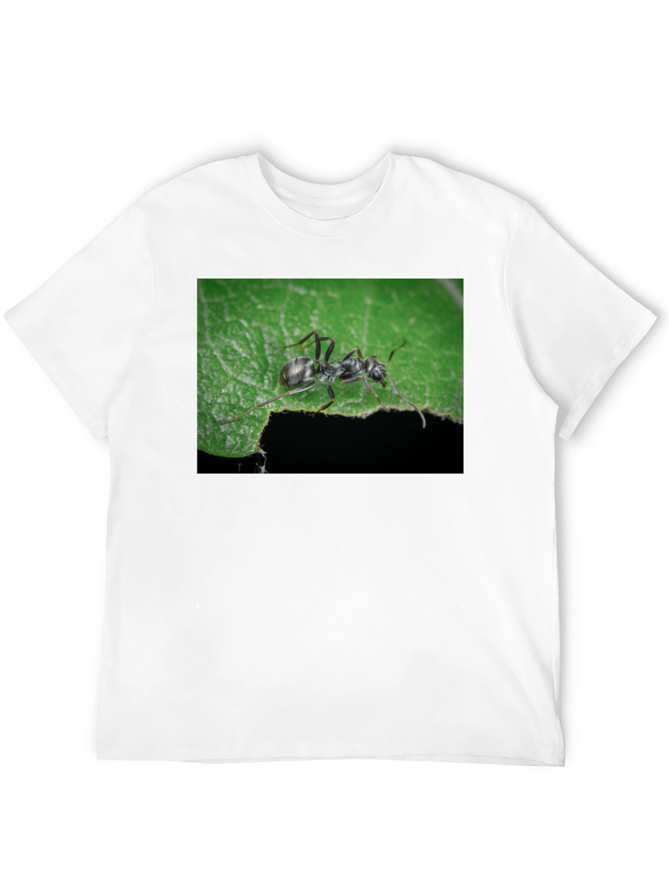 Black Ant on Leaf Graphic Tee - Nature Lover's T-Shirt view 12
