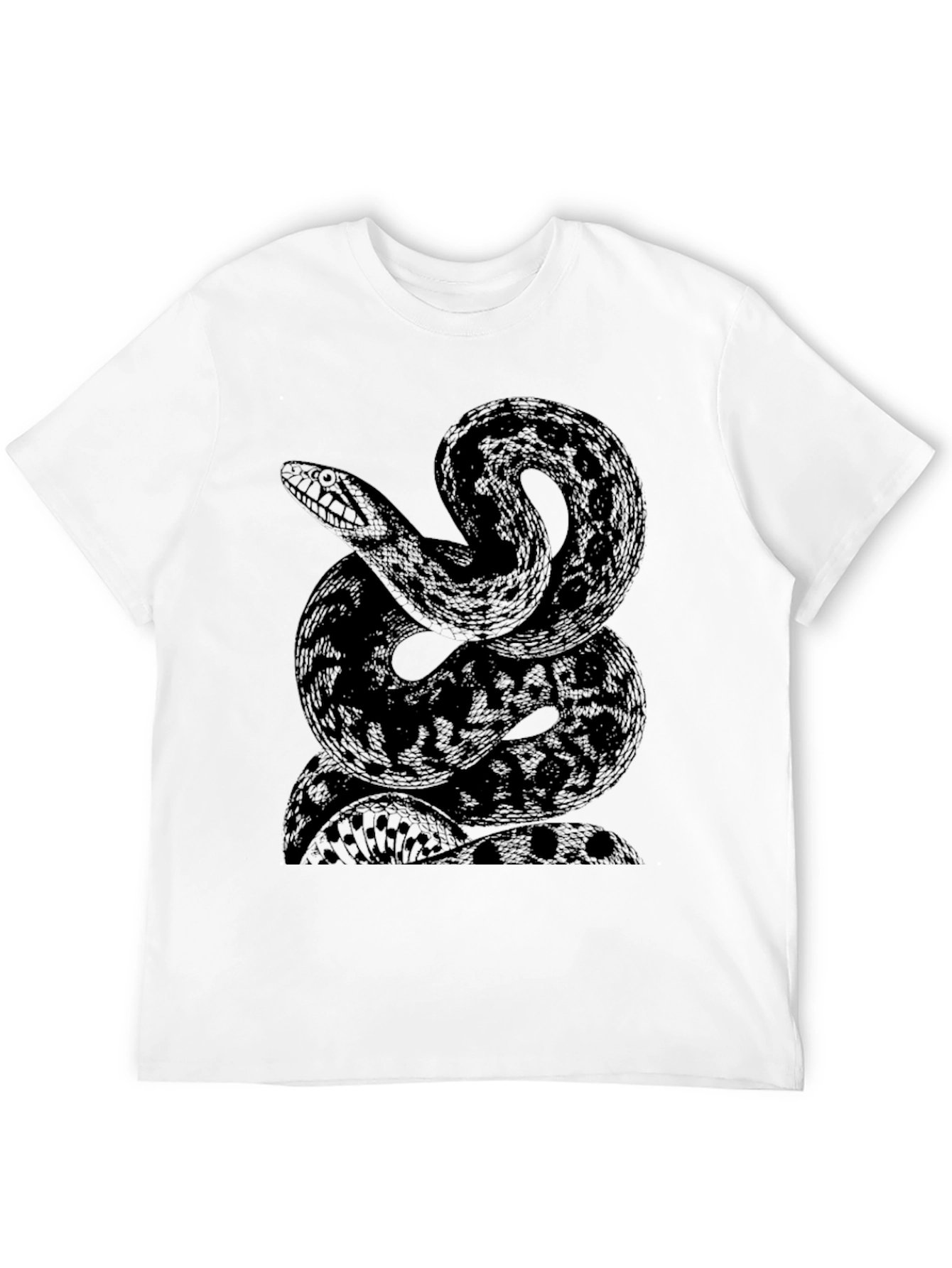 Black Snake Graphic Print Black T-Shirt view 12