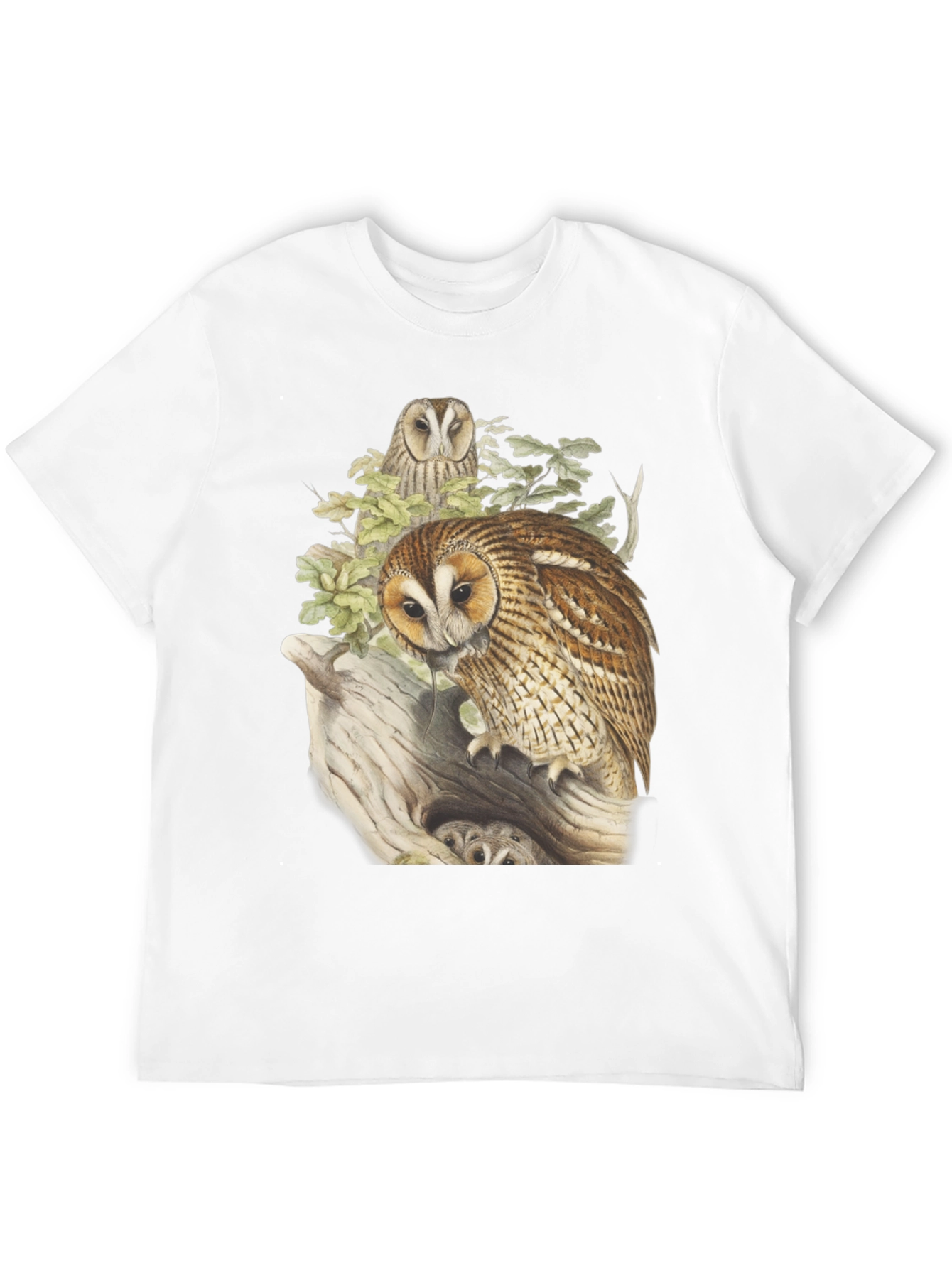 Black Owl Graphic Tee - Nature Inspired Design view 12
