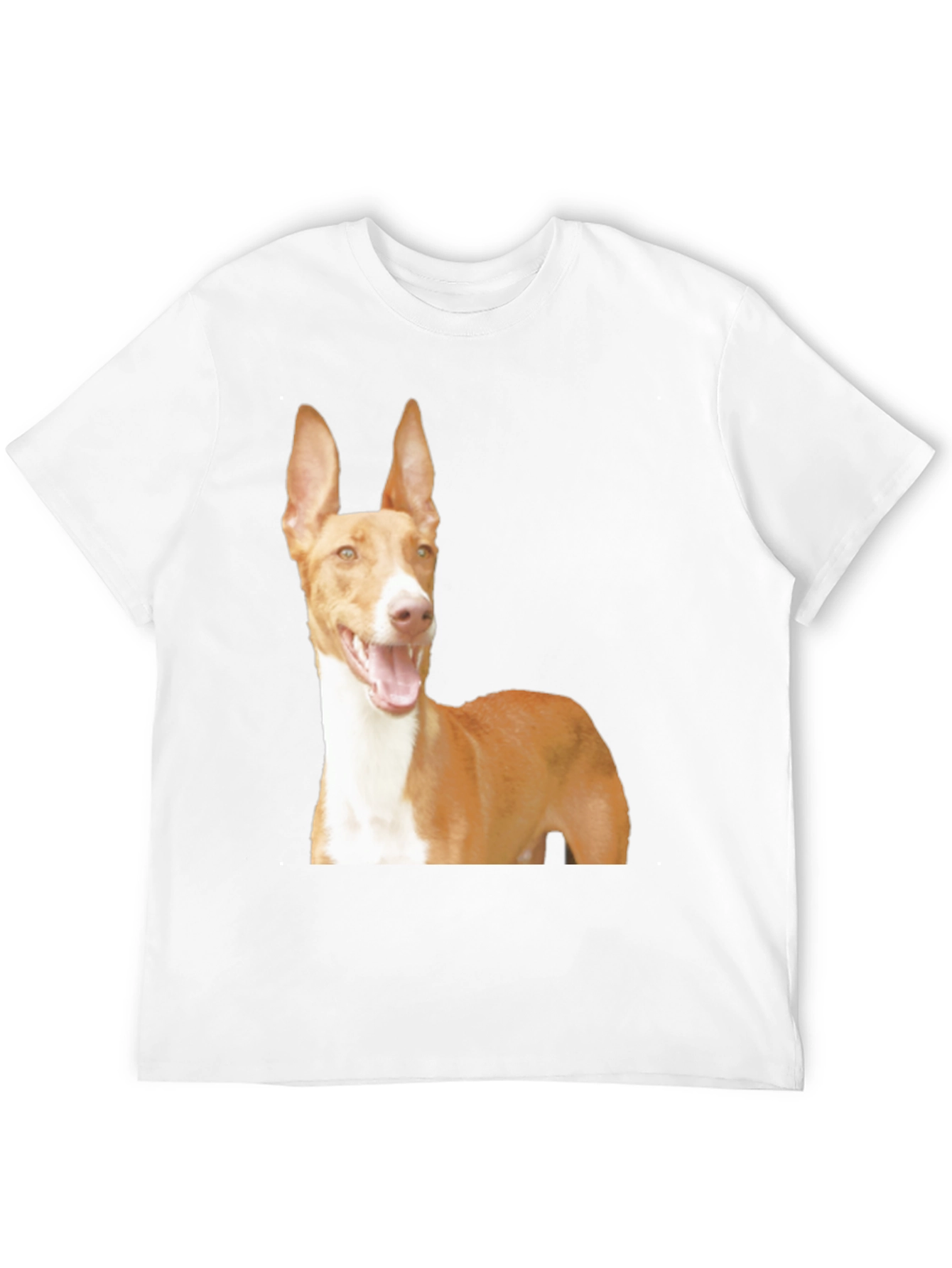Black Dog Breed Graphic Tee - Ibizan Hound on Black Shirt view 12
