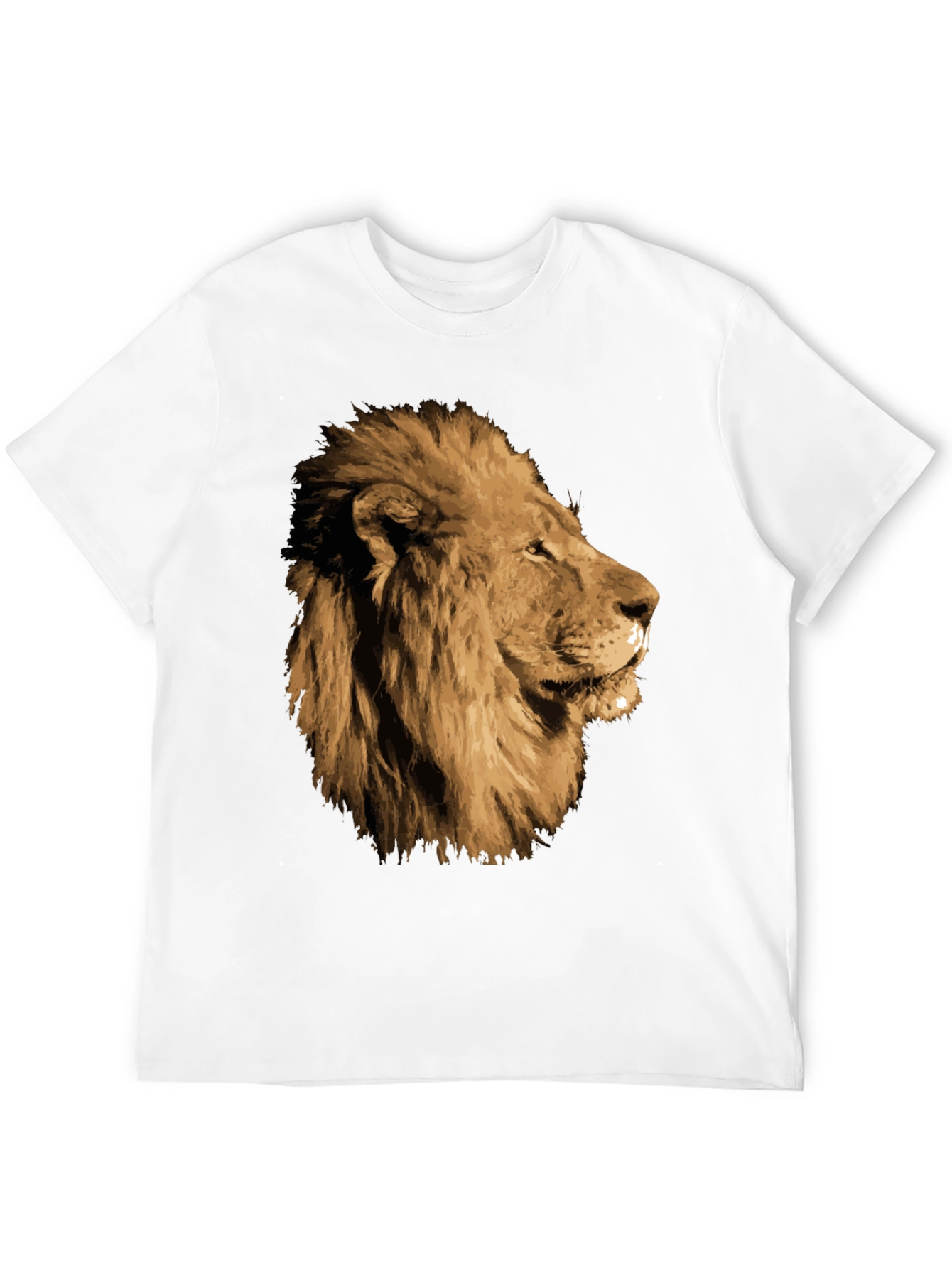 Black Lion Graphic T-Shirt - Black view 12
