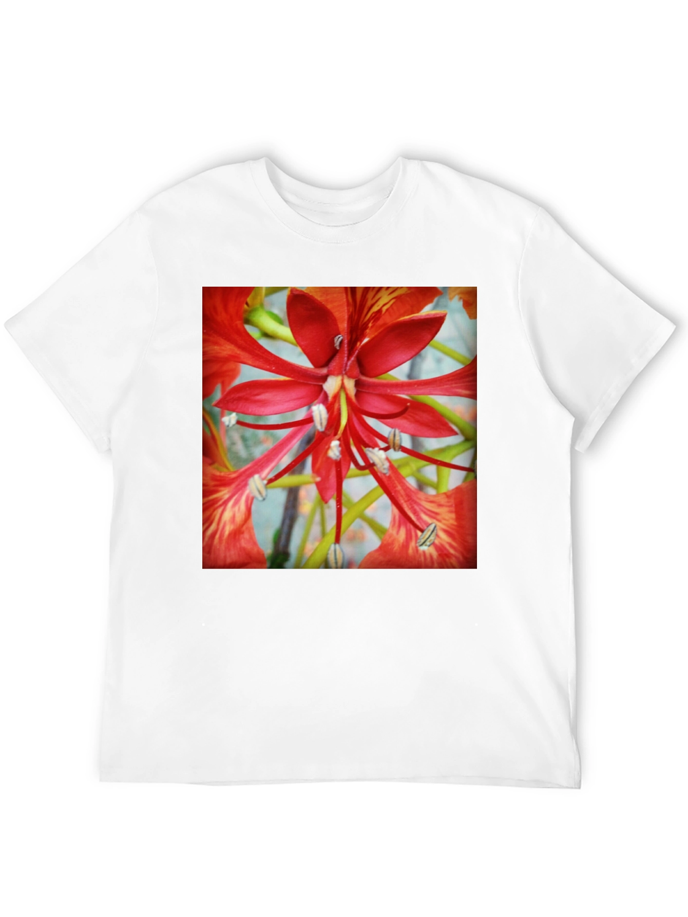 Black Bold Floral T-Shirt - Vivid Red Blossom Design view 12