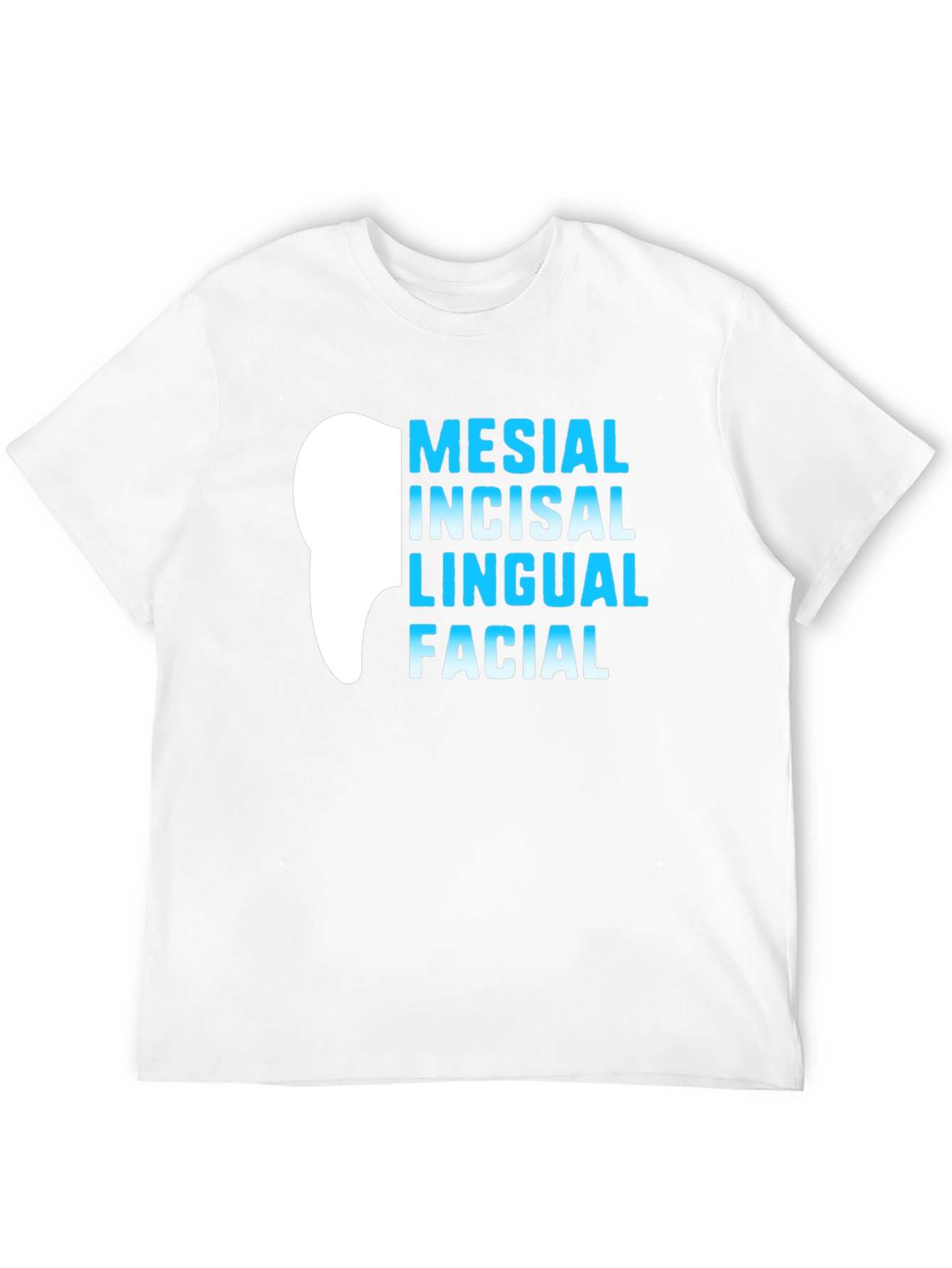 Black Dental Anatomy T-Shirt - Mesial Incisal Lingual Facial - Dentist Gift view 12