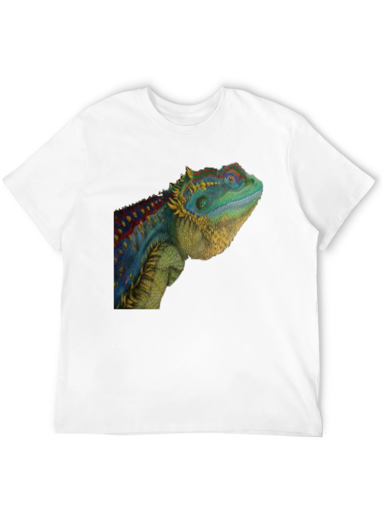 Black Lizard Graphic T-Shirt - Cool Reptile Tee view 12