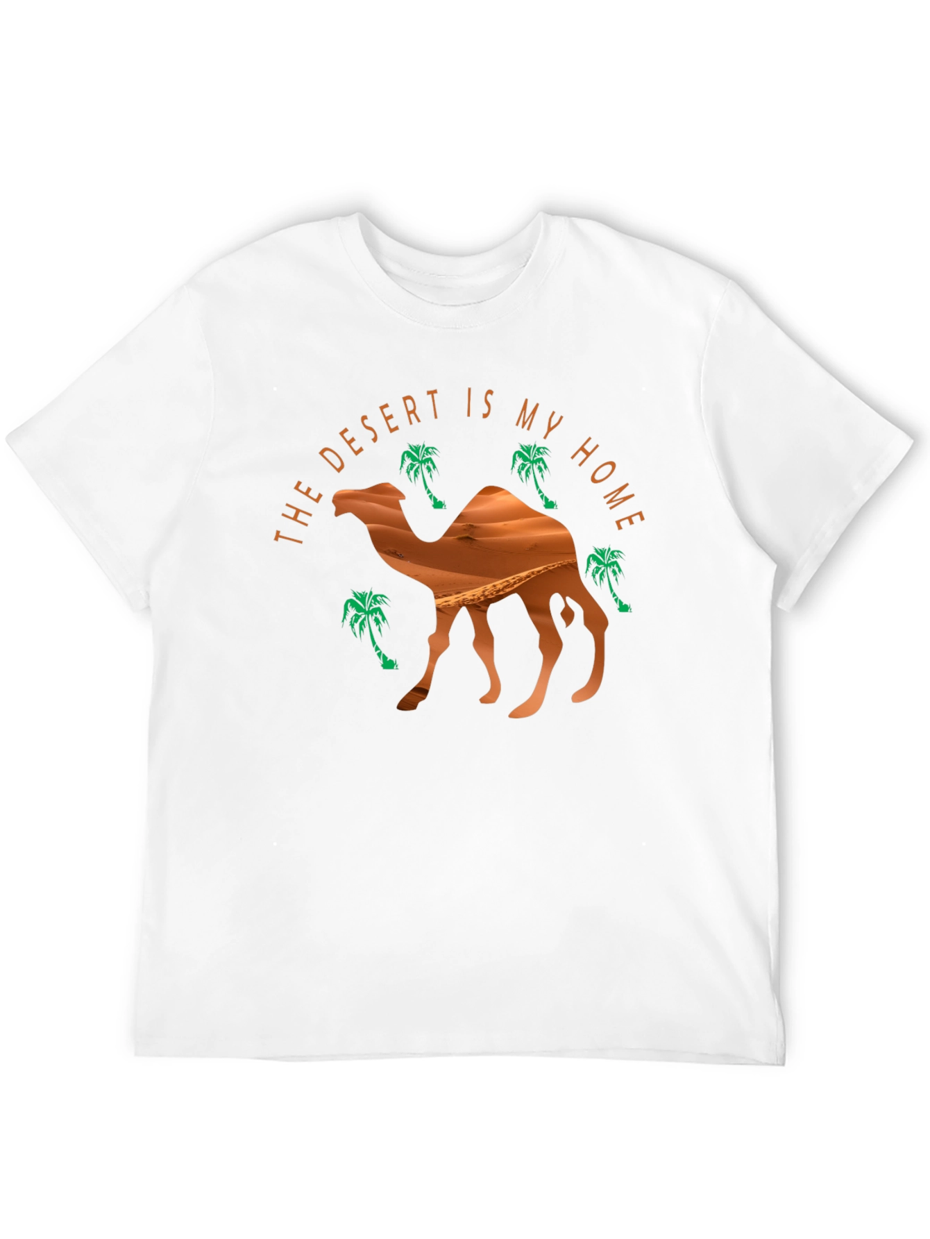 Black Desert Home Camel Graphic Tee - Black view 12