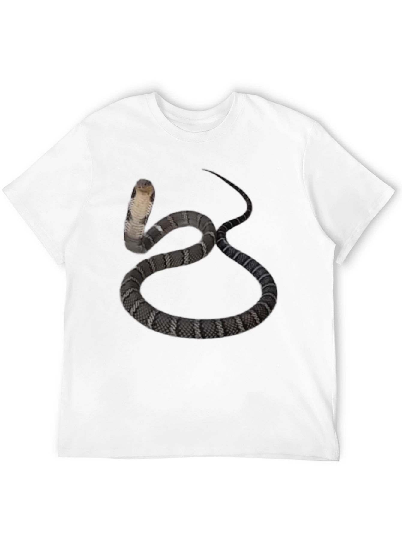 Black Cobra Snake Graphic Tee - Men's Black T-Shirt view 12