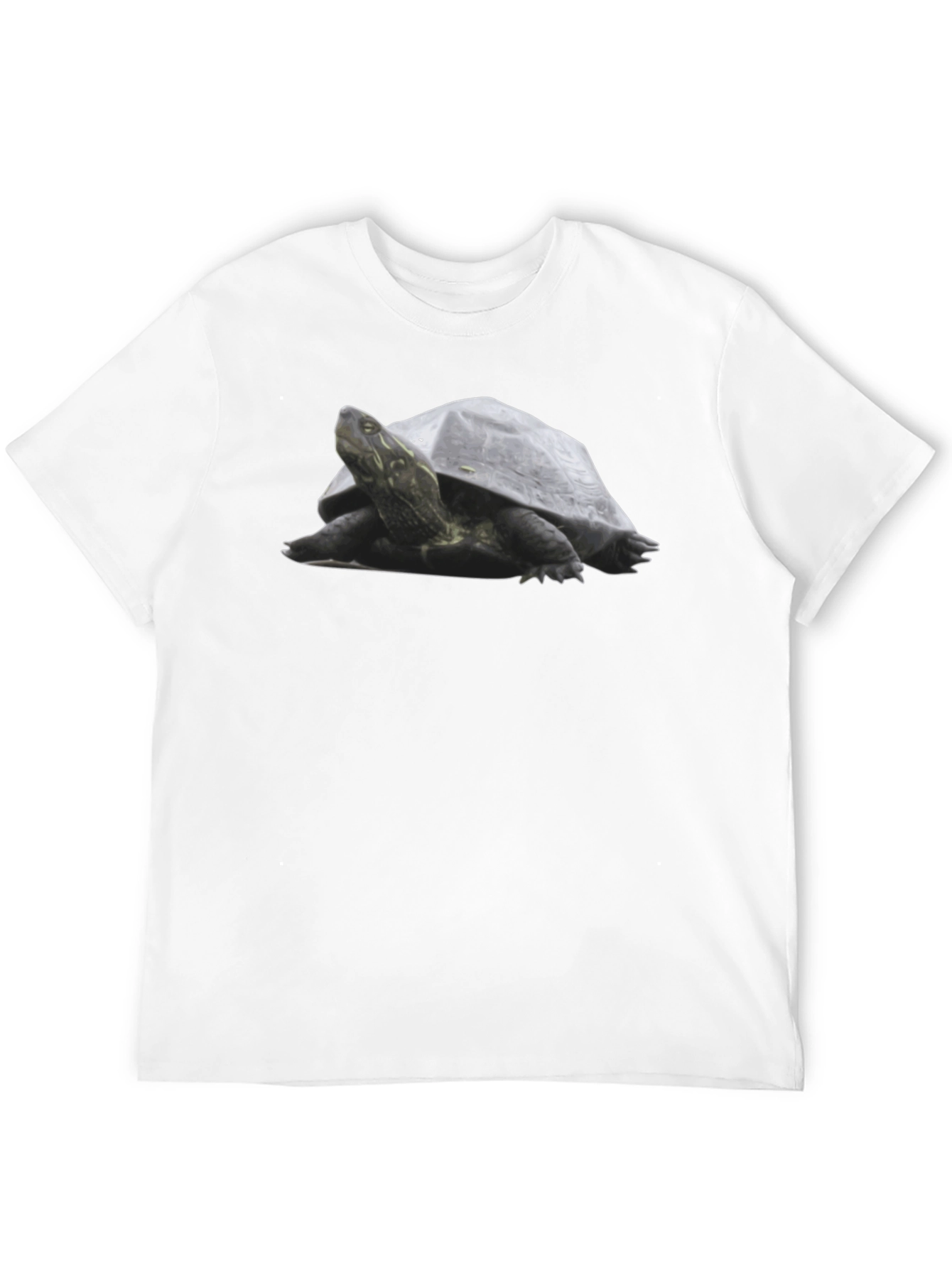 Black Turtle Graphic Tee - Black Cotton T-Shirt view 12