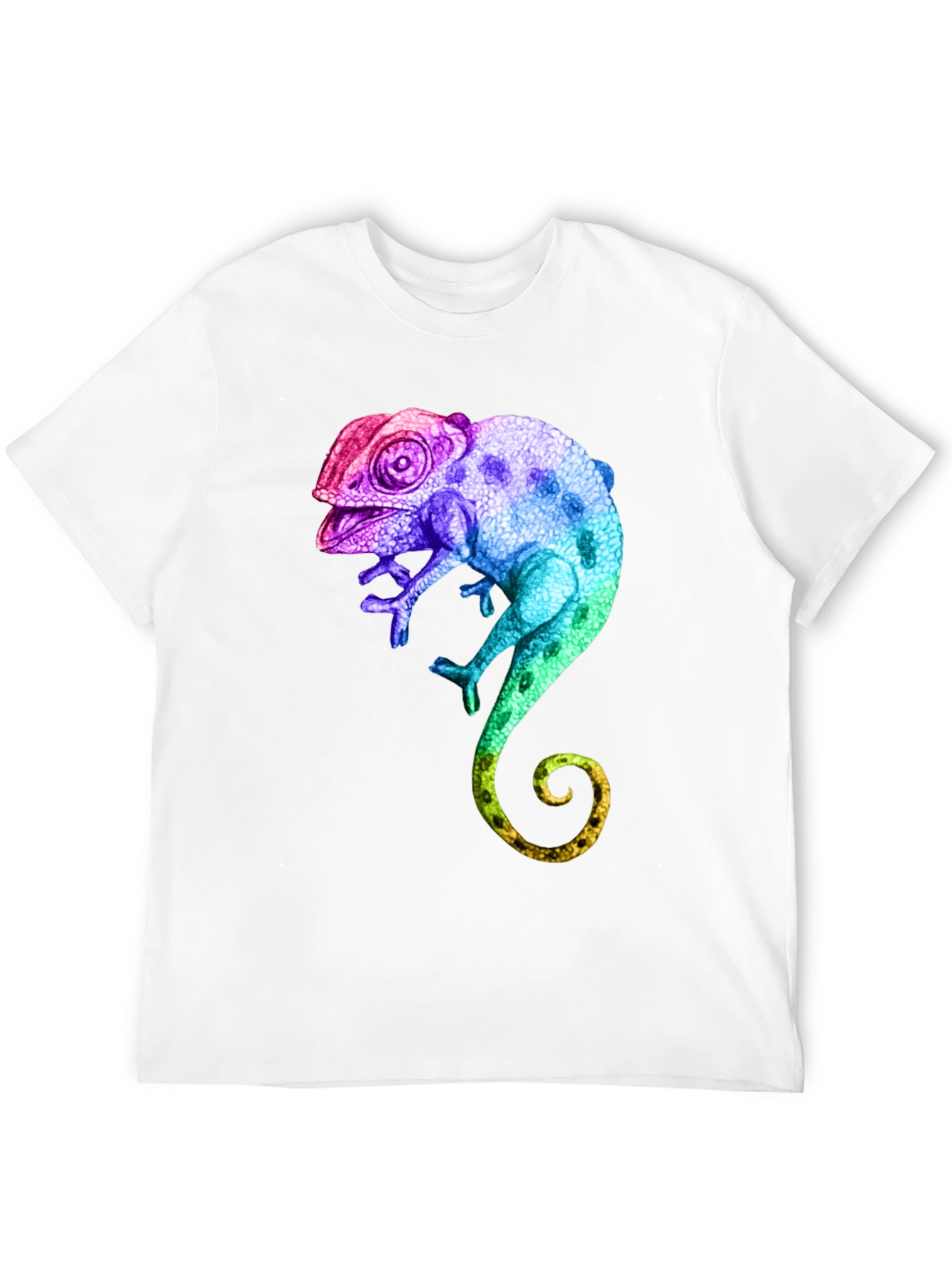 Black Rainbow Chameleon Graphic T-Shirt view 12