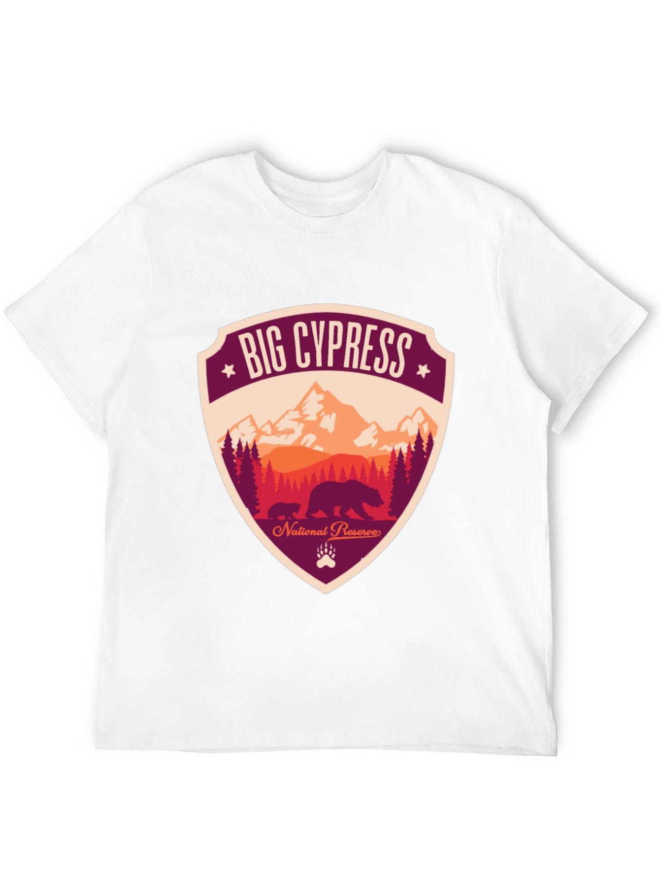 Black Big Cypress National Preserve Graphic T-Shirt view 12