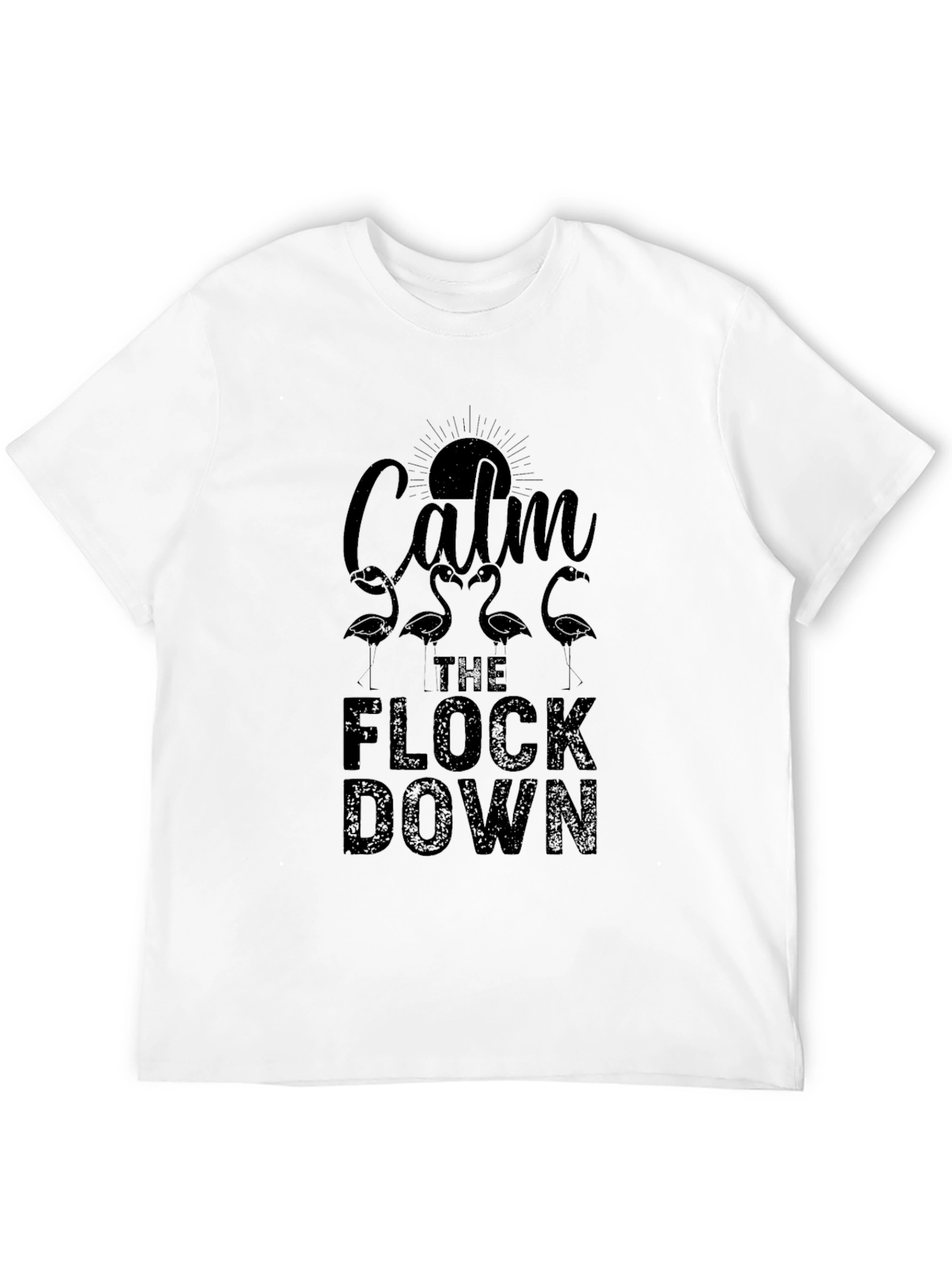 Black Calm the Flock Down Graphic Tee - Black view 12