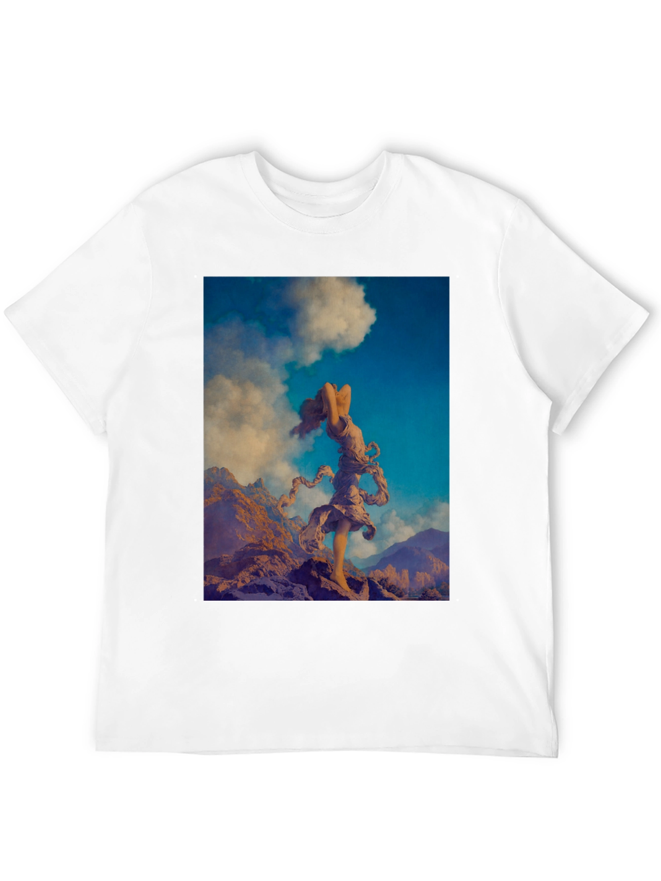 Black Mountain Muse Graphic Tee view 12