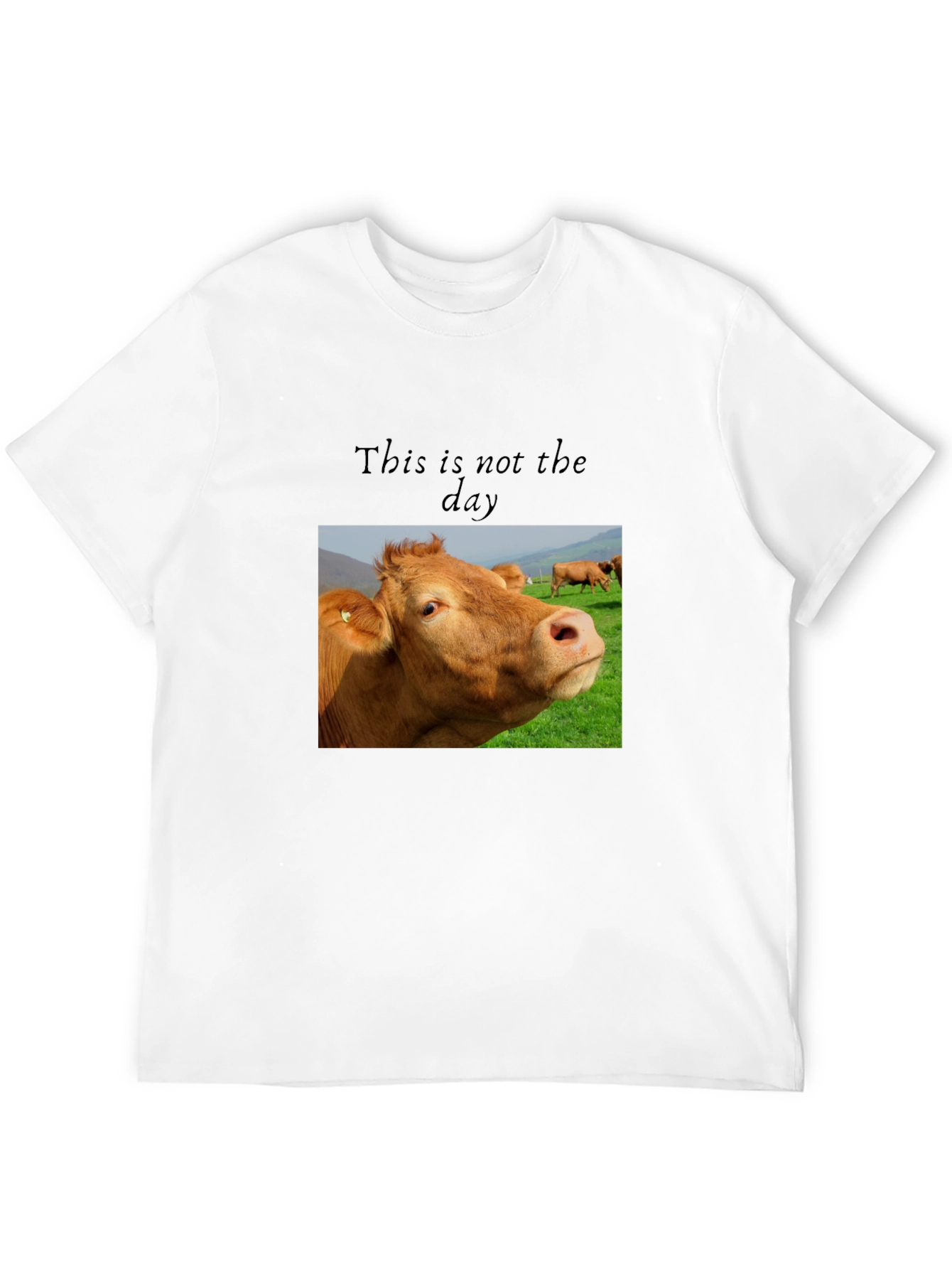 Black Cow Graphic T-Shirt - "This is not the day" view 12