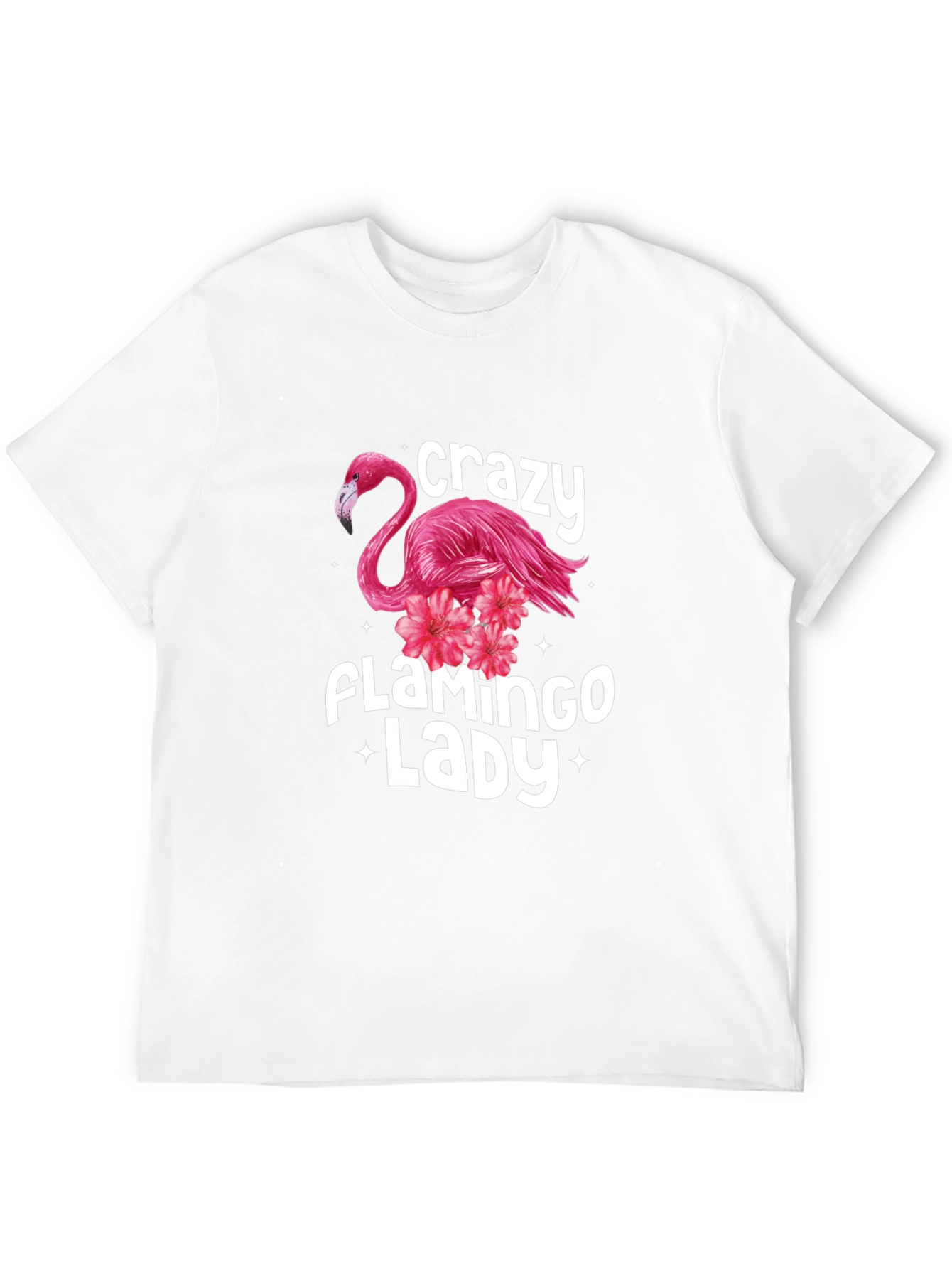 Black Crazy Flamingo Lady Graphic Tee view 12