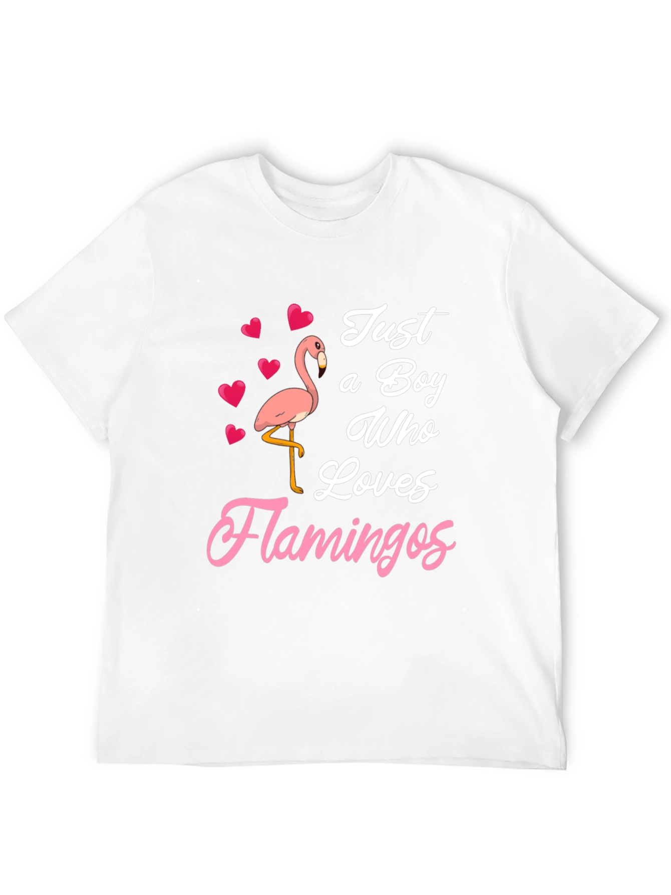 Black Just A Boy Who Loves Flamingos T-Shirt view 12