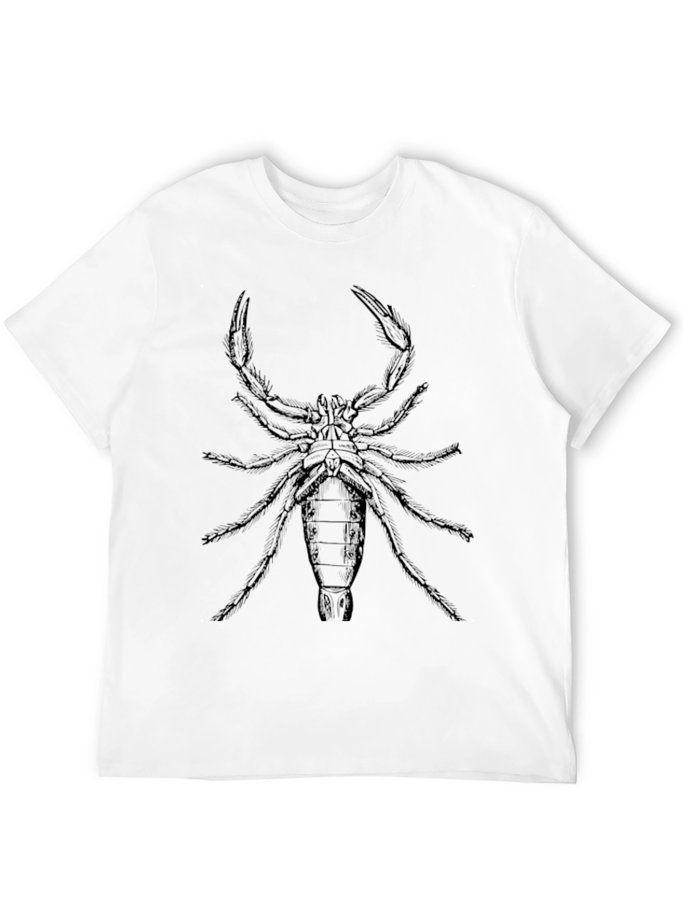 Black Scorpion Graphic Tee - Black Cotton Comfort view 12