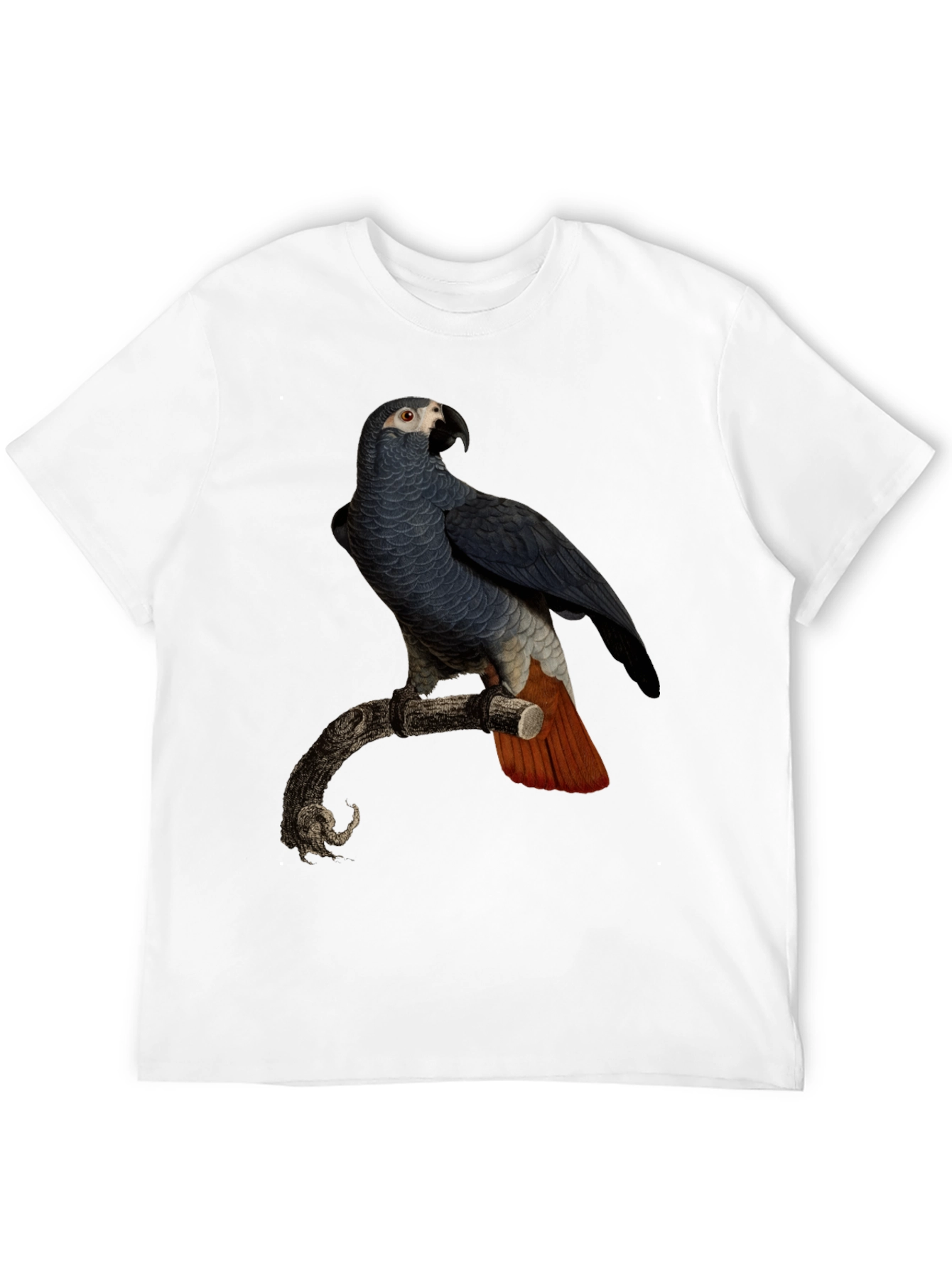 Black Parrot Graphic T-Shirt - Men's Black Tee view 12