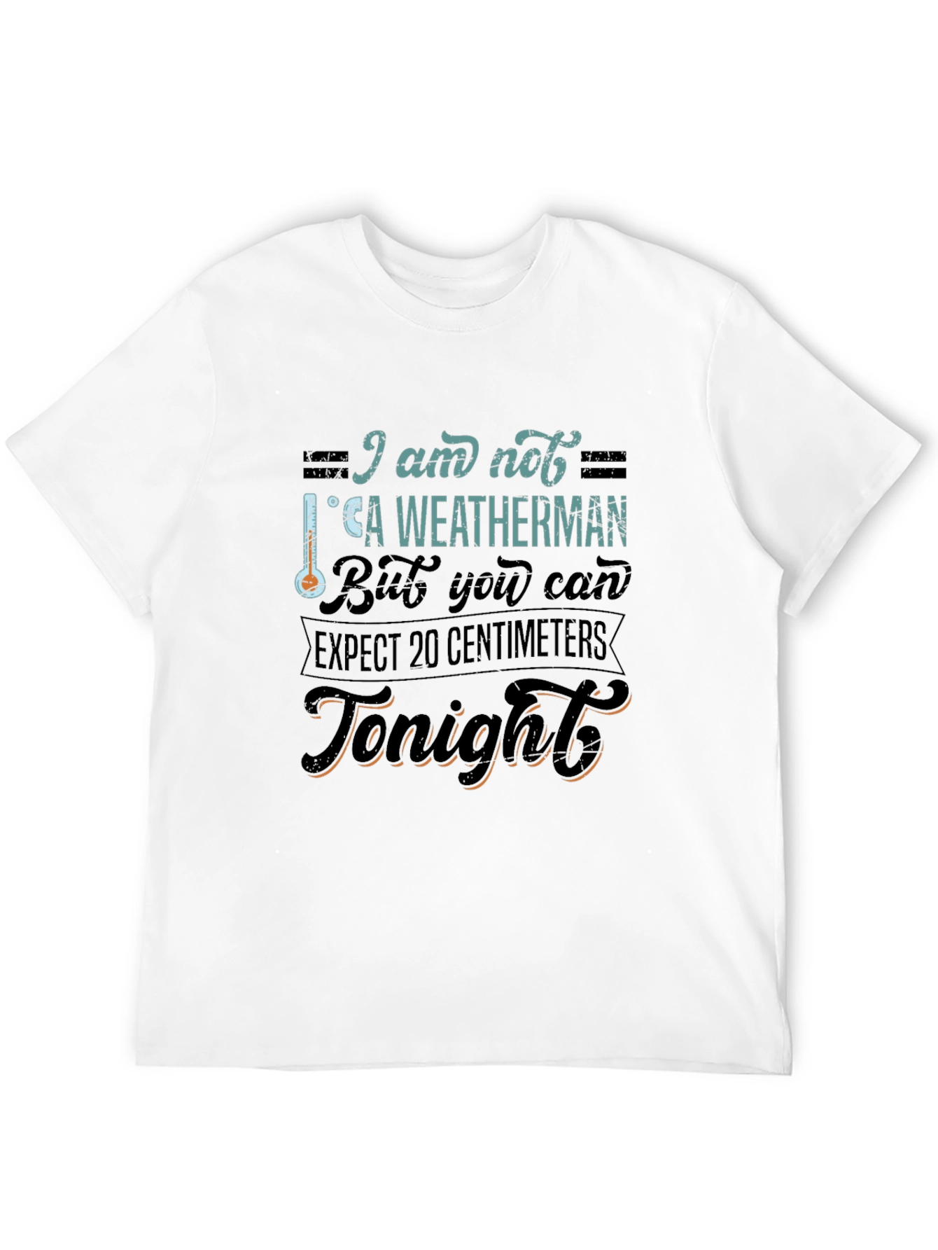 Black Funny Weatherman Graphic Tee - Expect 20 Centimeters view 12