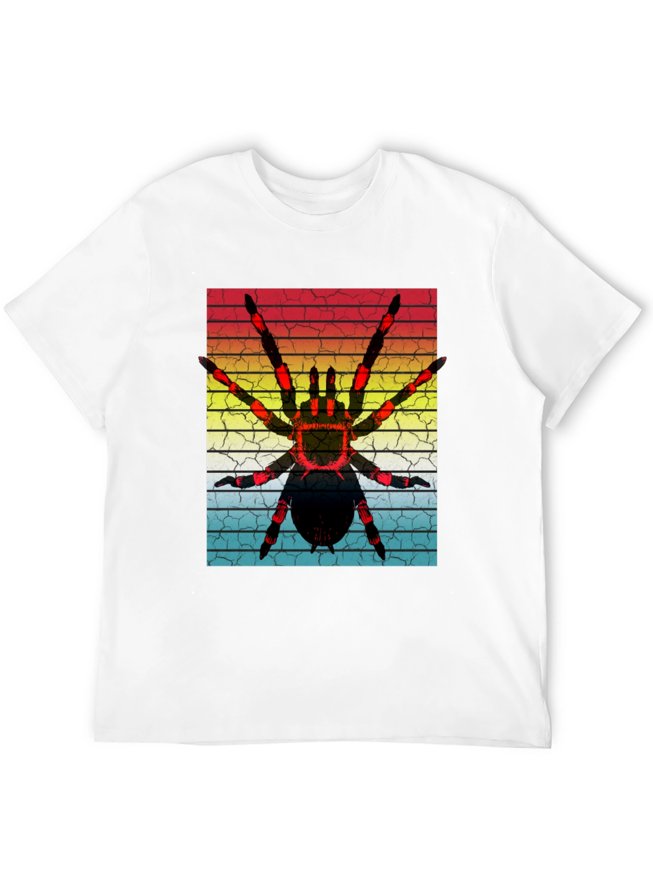 Black Vintage Spider Graphic T-Shirt view 12