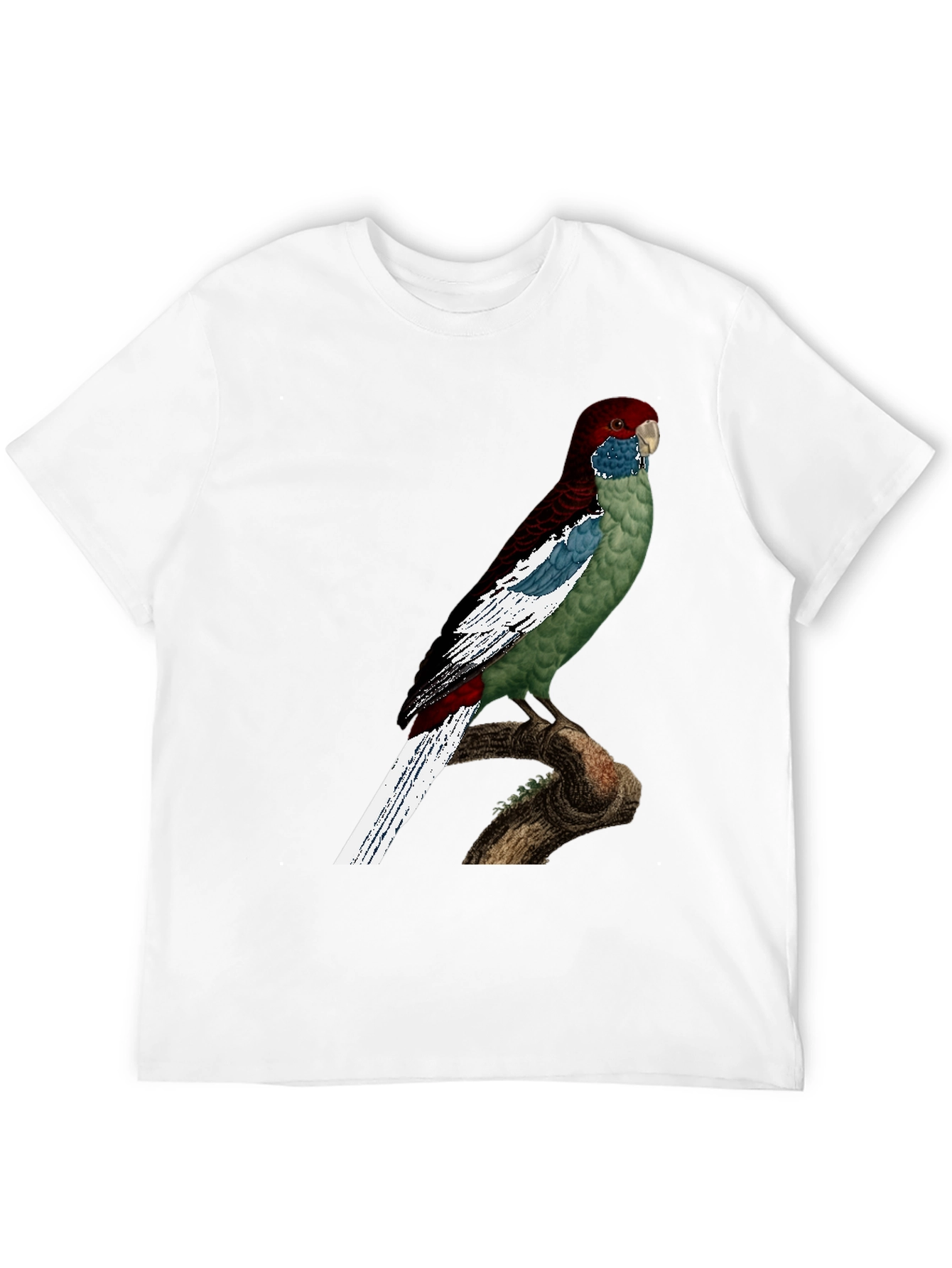 Black Parrot Graphic T-Shirt - Unique Bird Design view 12