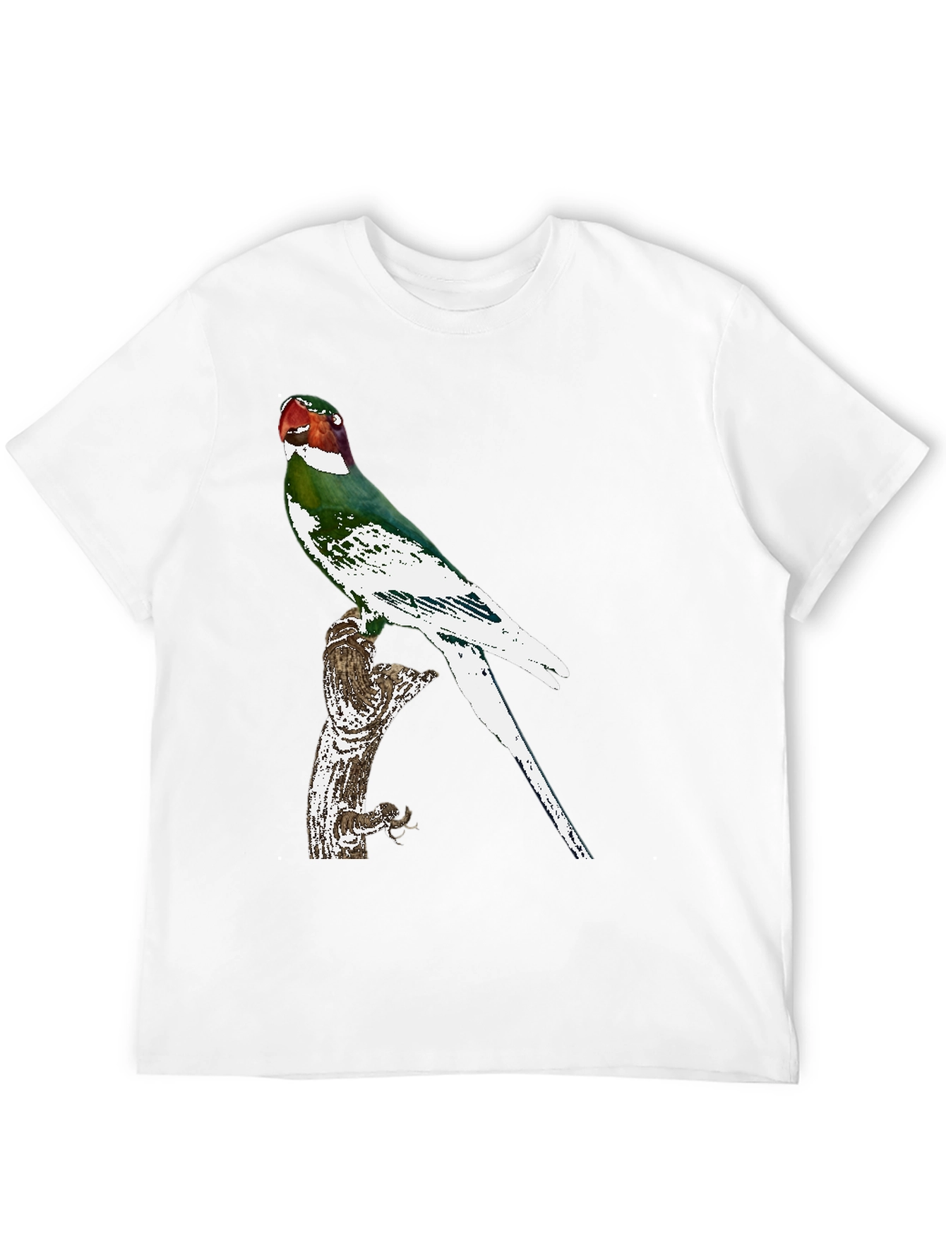 Black Parrot Graphic Tee - Black Cotton T-Shirt view 12