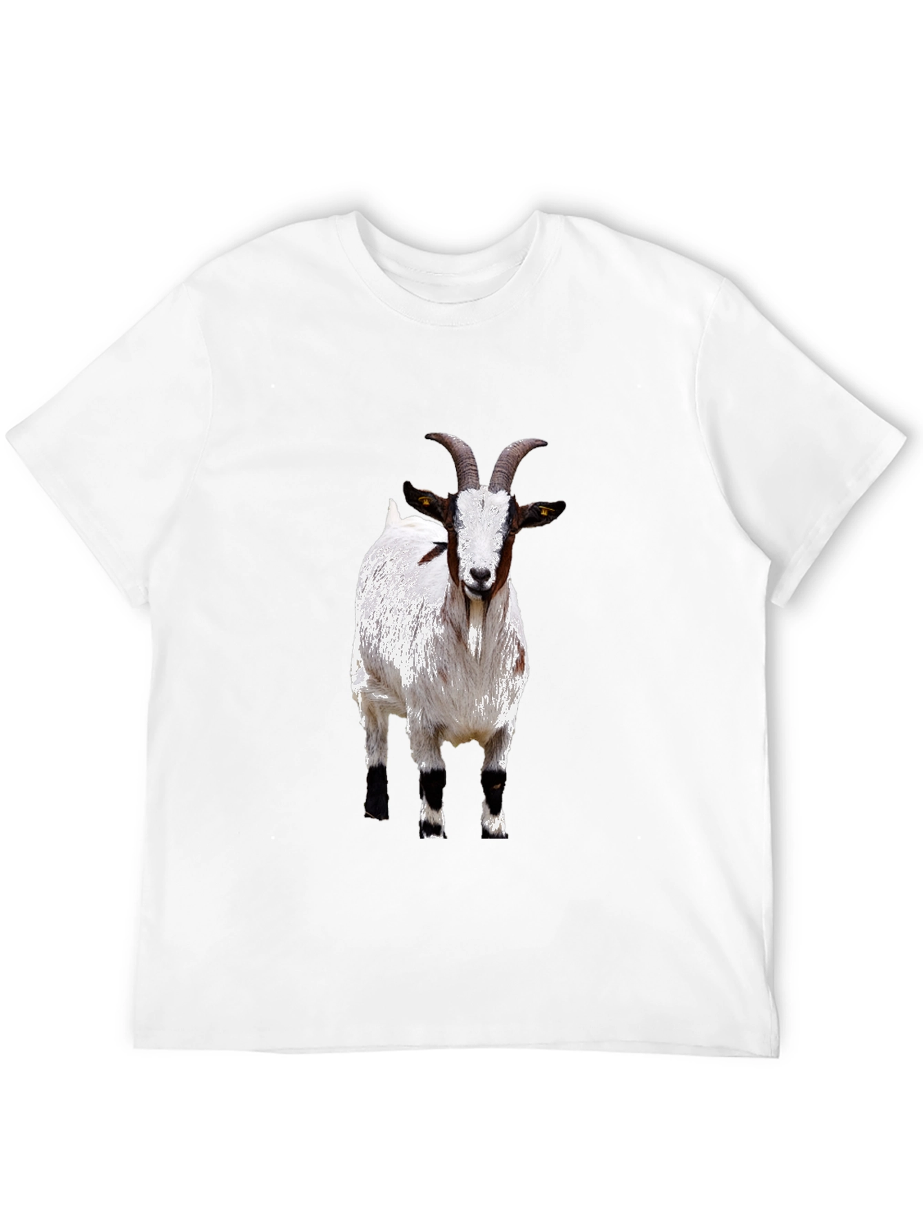 Black Goat Graphic Tee - Black Cotton T-Shirt view 12