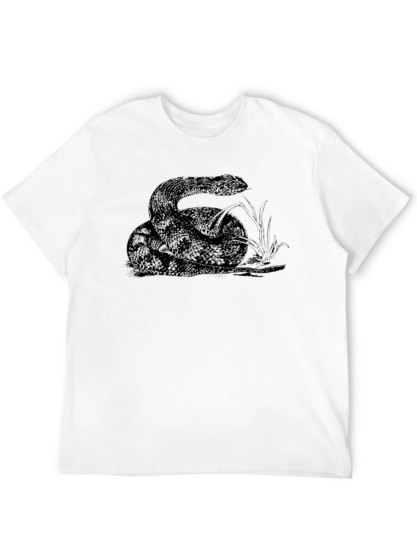 Black Snake Graphic Tee - Black Cotton view 12